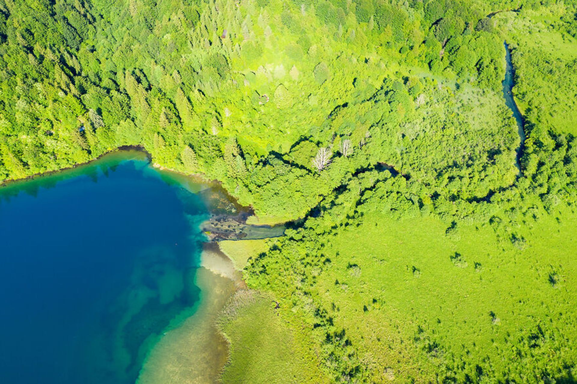 دریاچه Plitvice در کرواسی