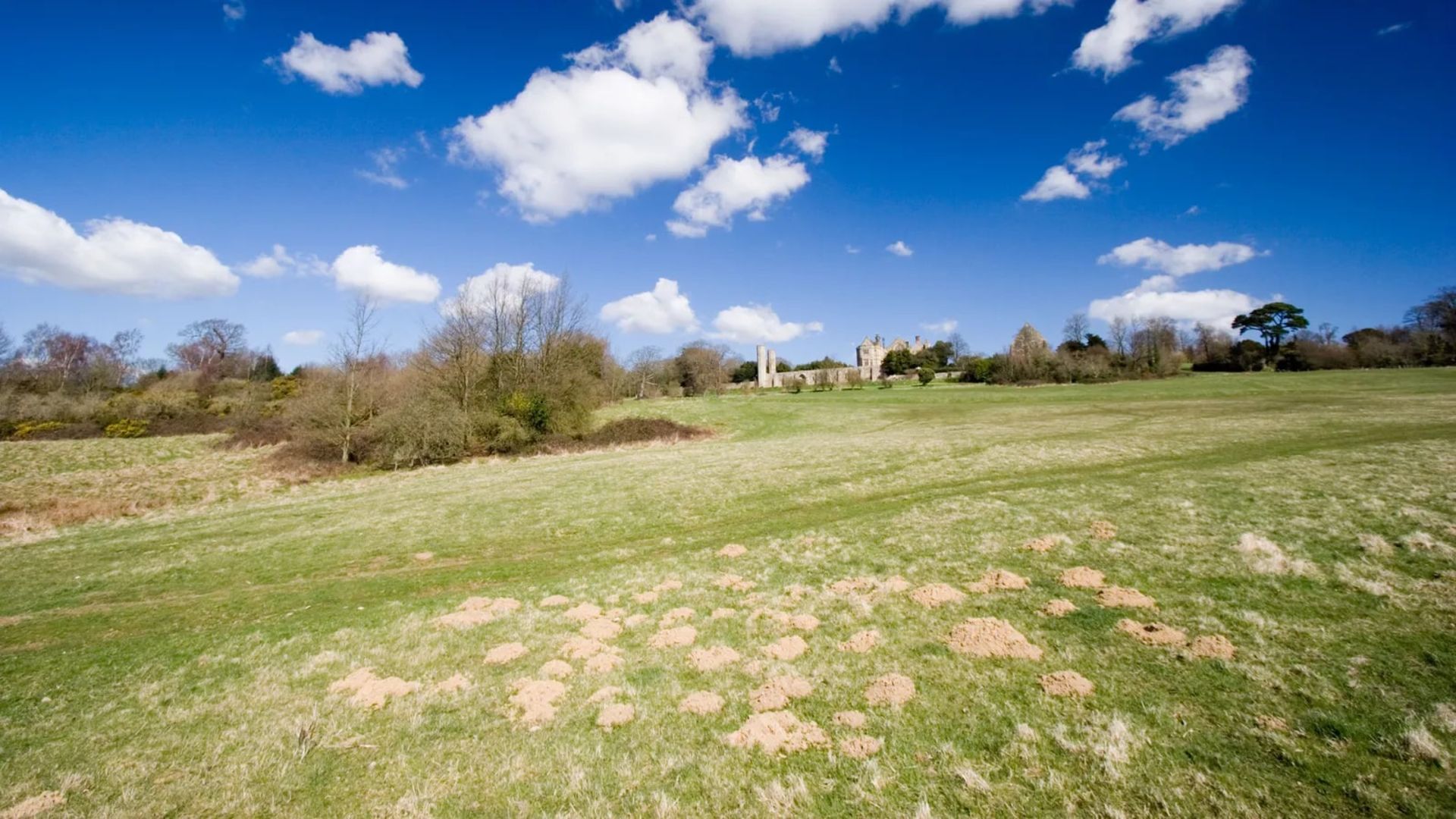 محل وقوع نبرد نورمن‌ ها و انگلیسی ها در انگلستان امروزی