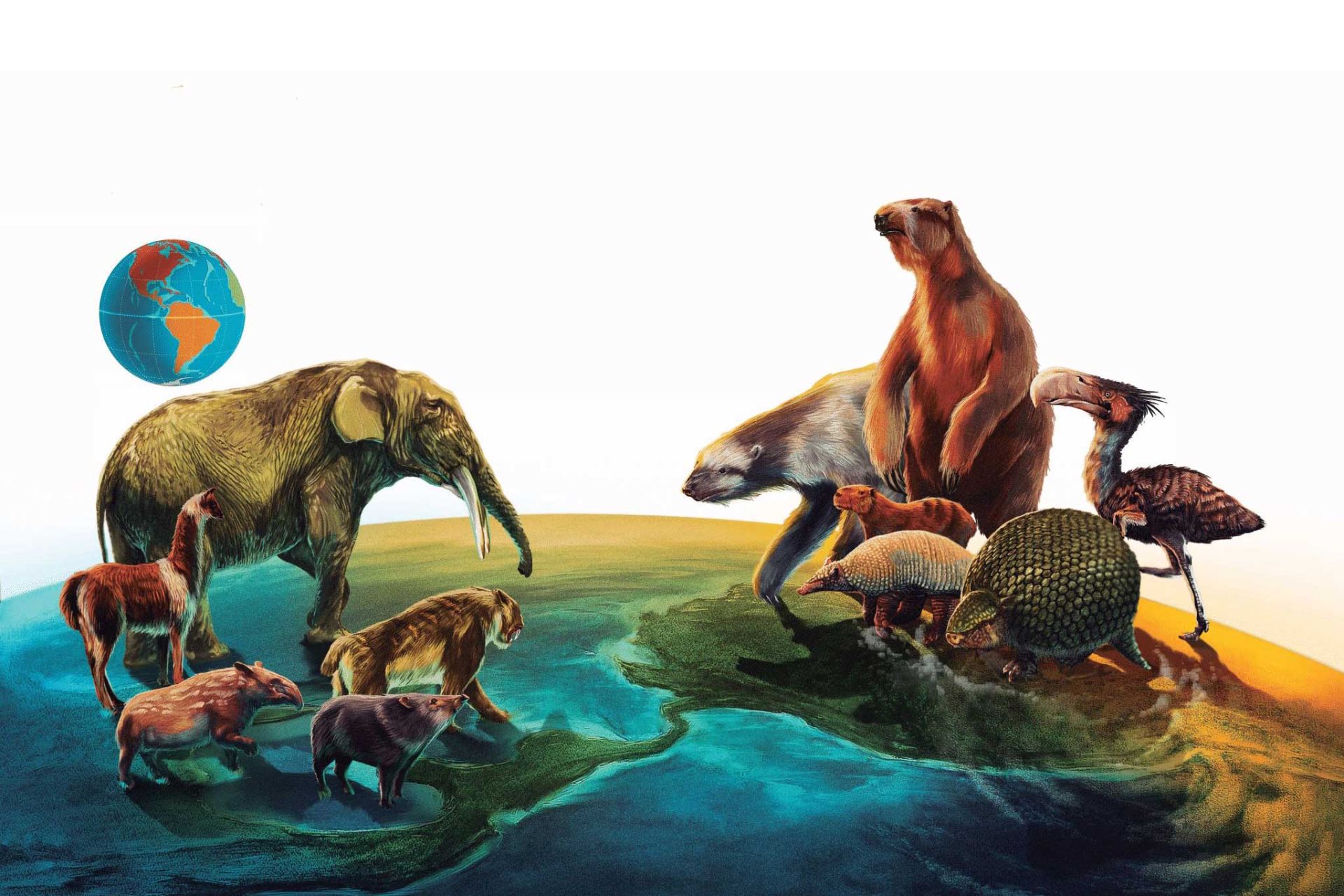 انواع مختلف پستانداران روی نقشه جهان