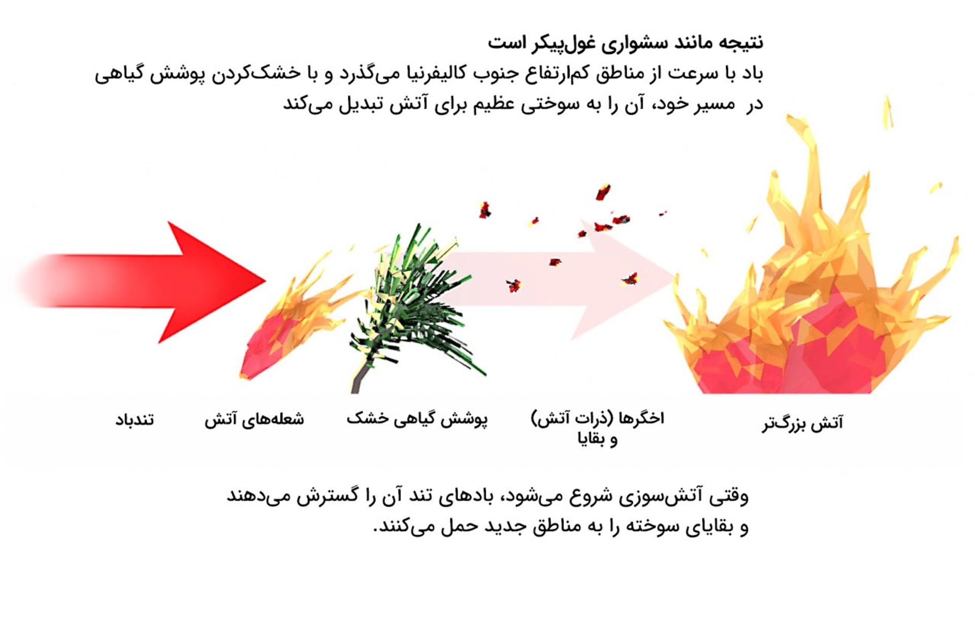 اینفوگرافی عوامل آتش‌سوزی لس‌آنجلس