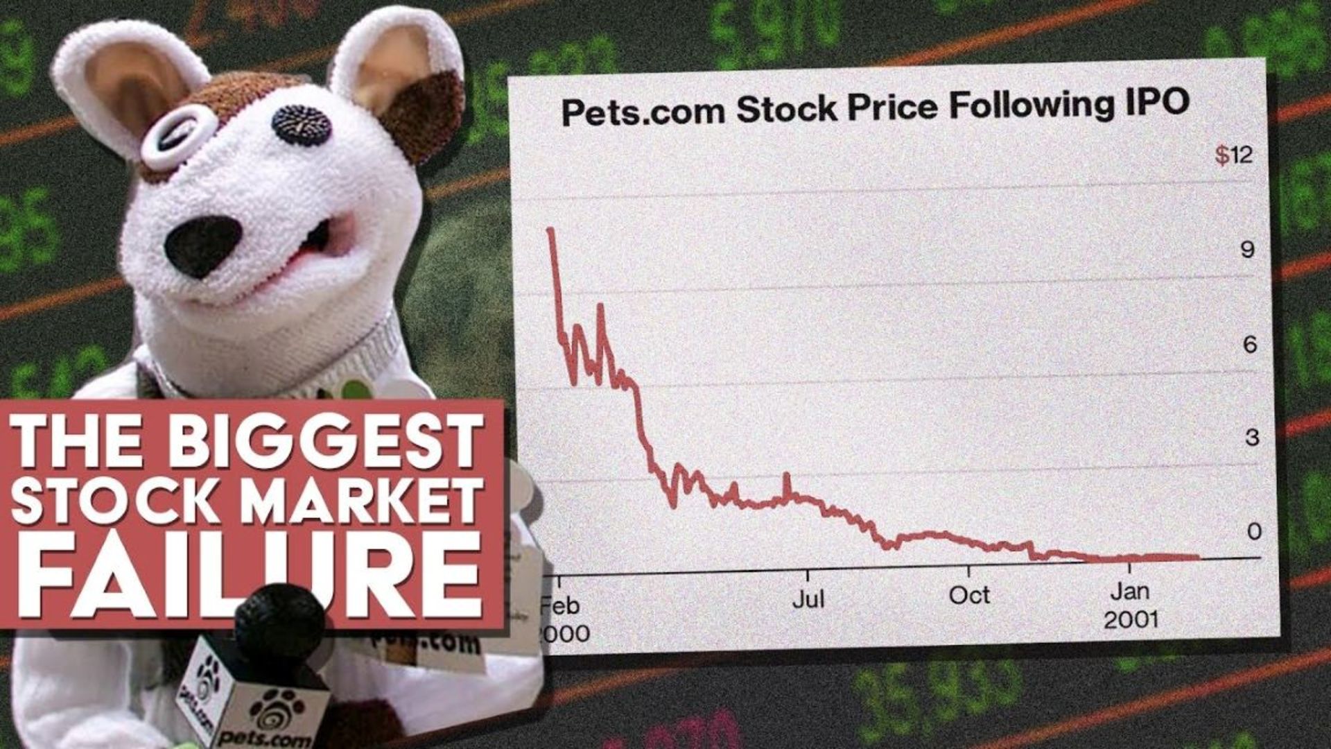 صعود و سقوط سایت pets.com در بحران دات‌کام