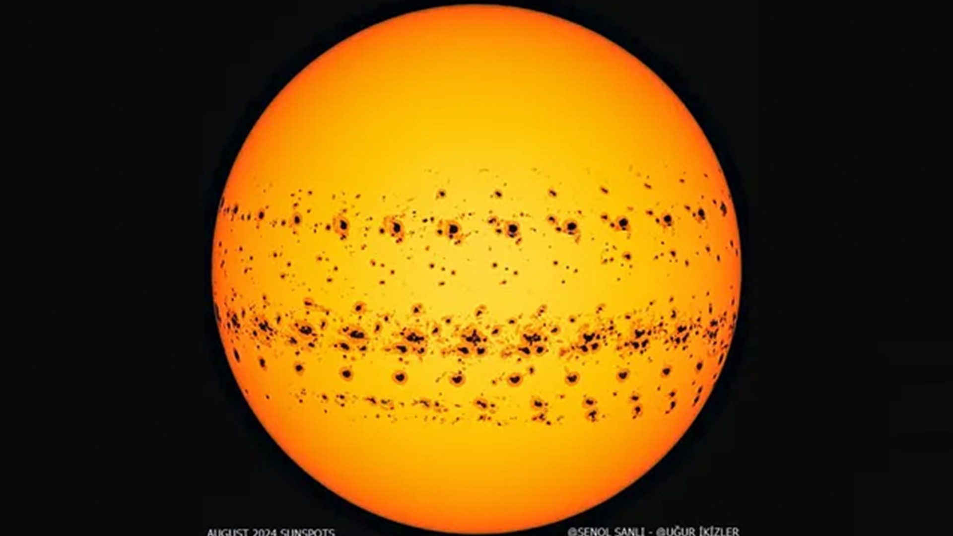 تصویر تایم‌لپس تمام لکه‌های خورشیدی را که در اوت ۲۰۲۴، زمانی که تعداد لکه‌های خورشیدی به اوج خود رسید، ظاهر شدند.