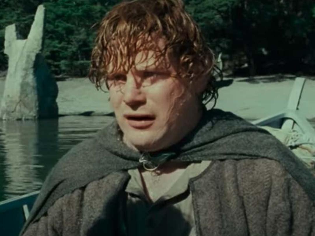 بازیگر ارباب حلقه ها Sean Astin