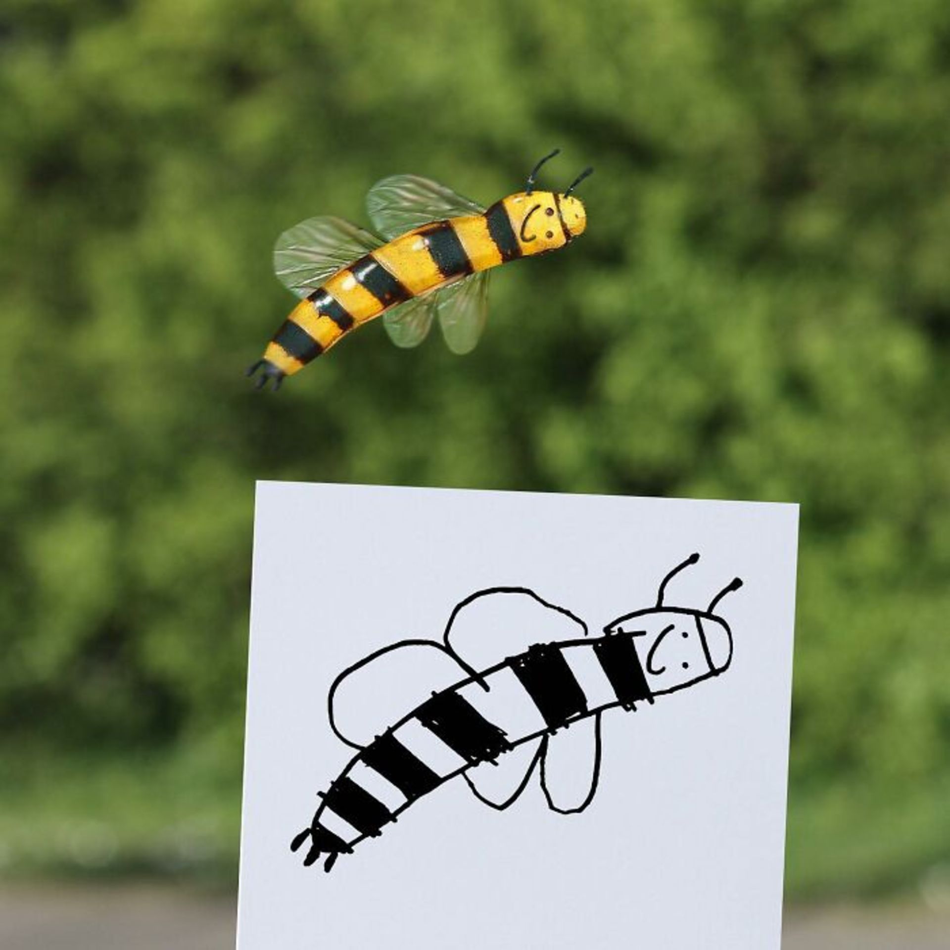 زنده کردن نقاشی کودکان با فتوشاپ - زنبور