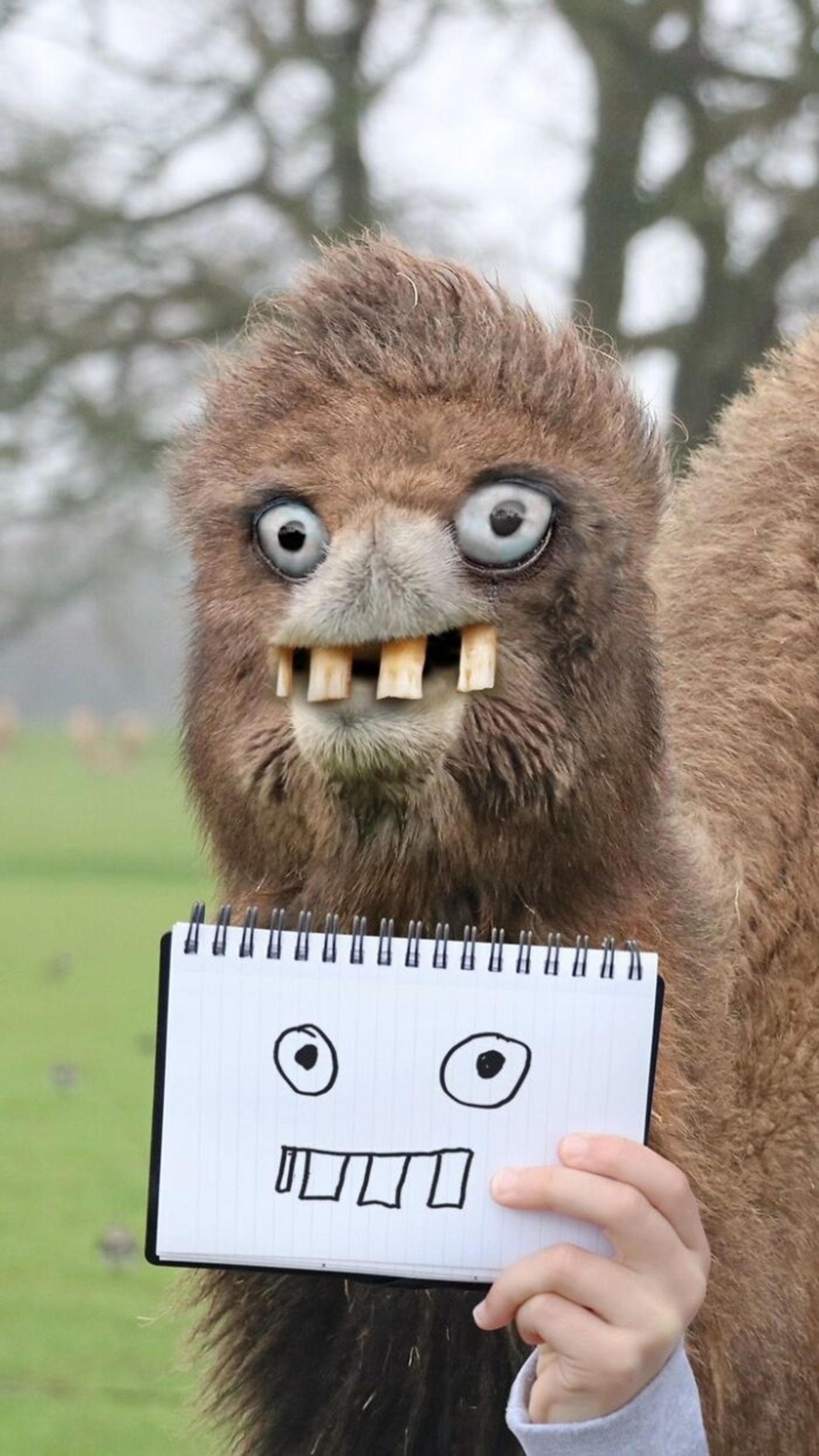 زنده کردن نقاشی کودکان با فتوشاپ 