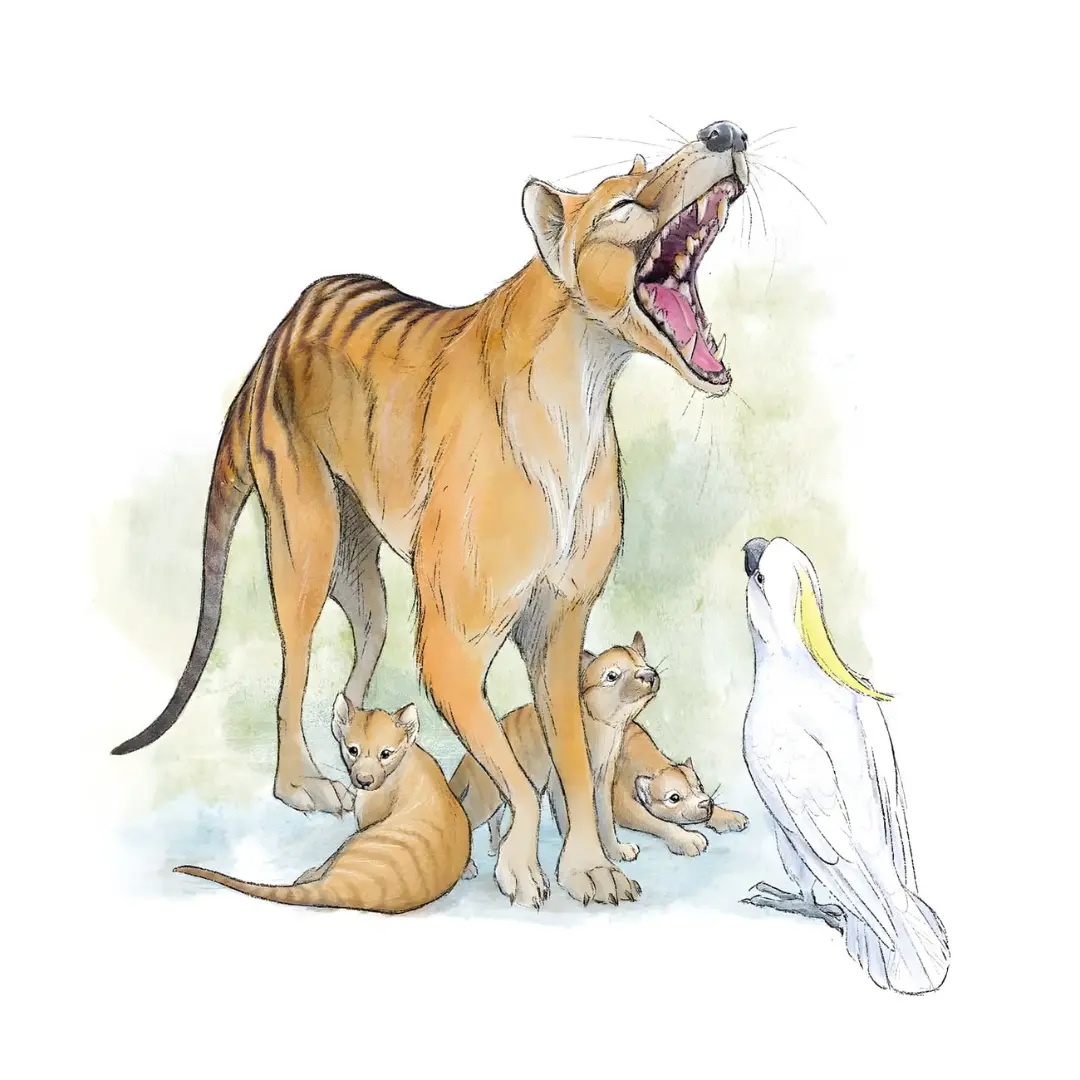 تایلاسین (Thylacine) بالغ با دهان باز در کنار توله‌های خود