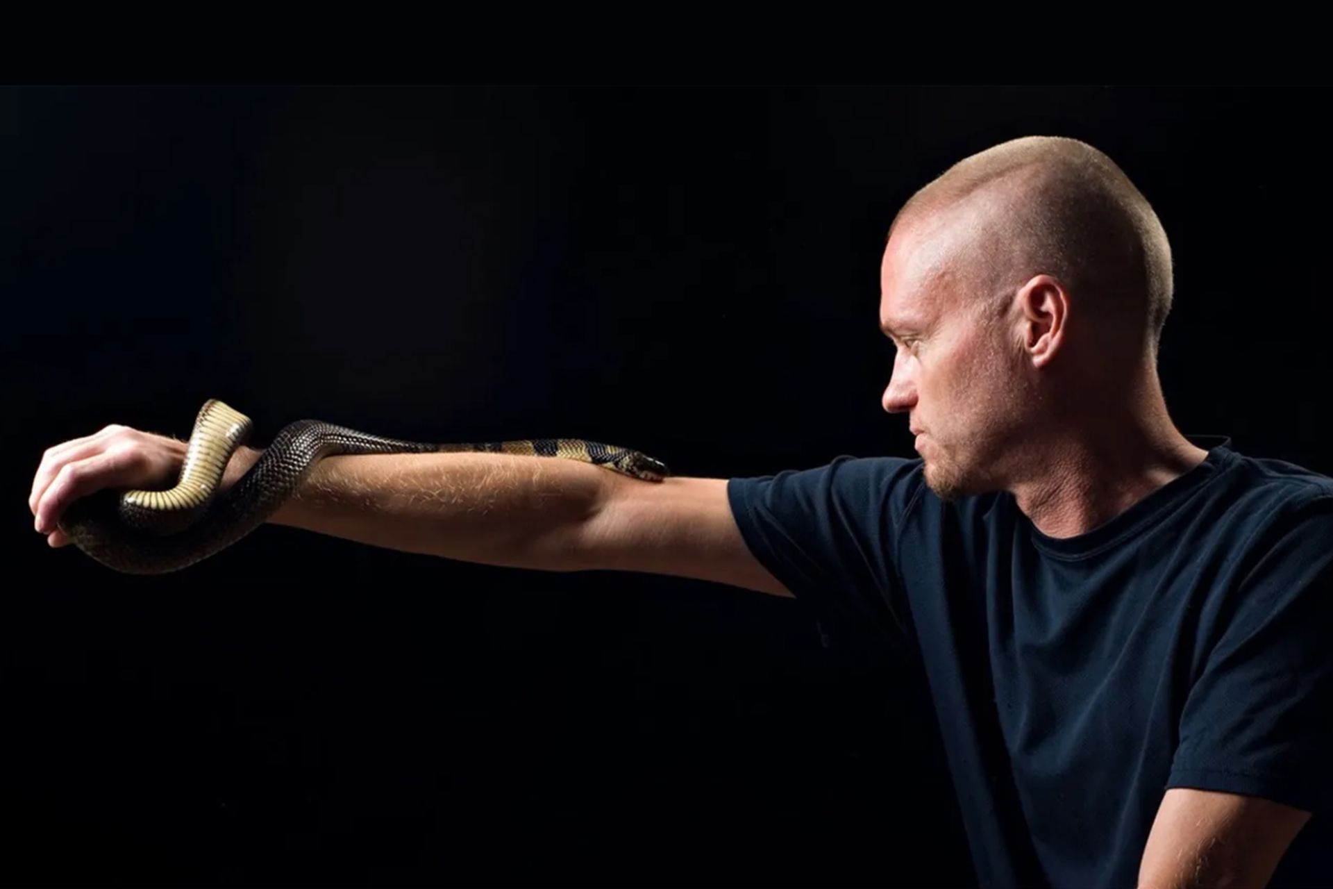 تیم فرید متخصص مار 