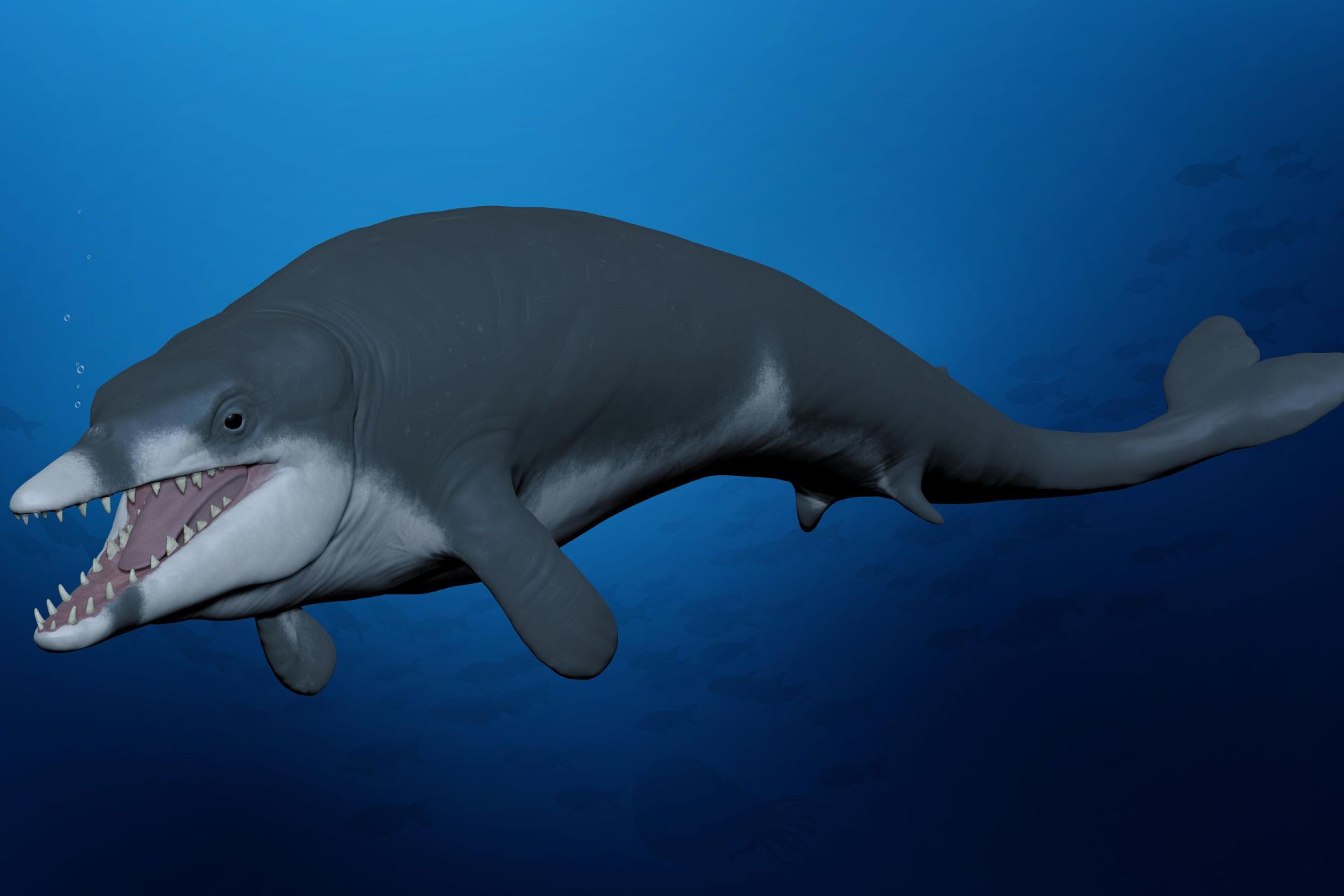 تصویر هنری نهنگ باستانی کوچک