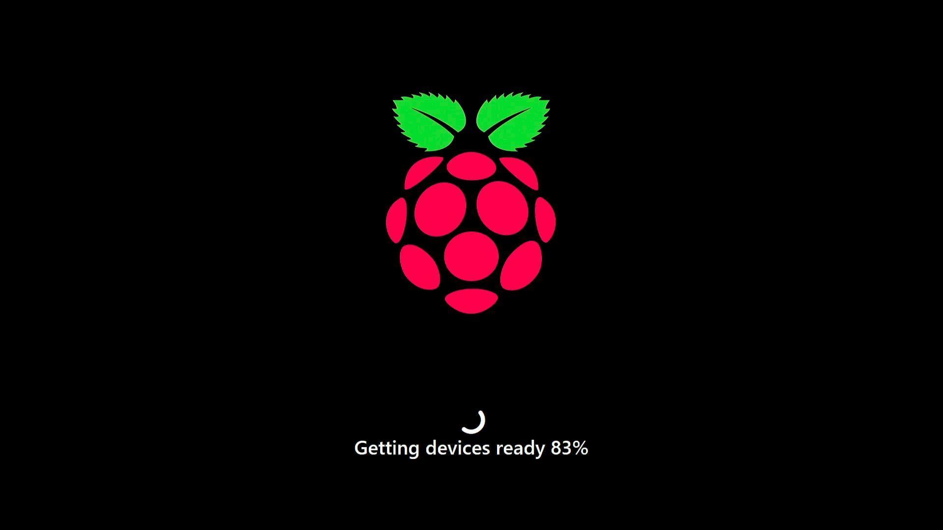 لوگو رزبری پای در نسخه سبک ویندوز ۱۱ Tiny11