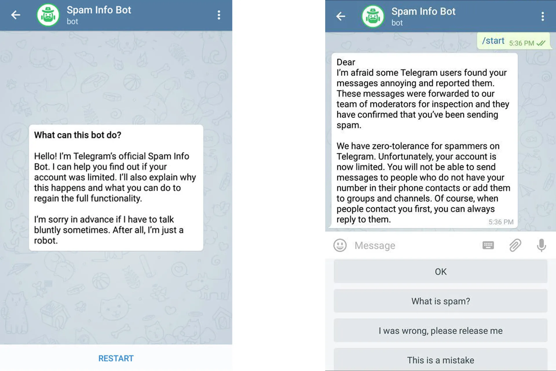 اسکرین شات ارتباط گرفتن با ربات Spam Info تلگرام