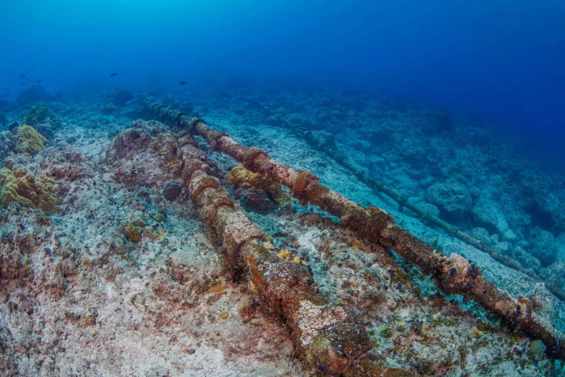 کابل‌های زیردریایی در اقیانوس آرام نزدیک گوام