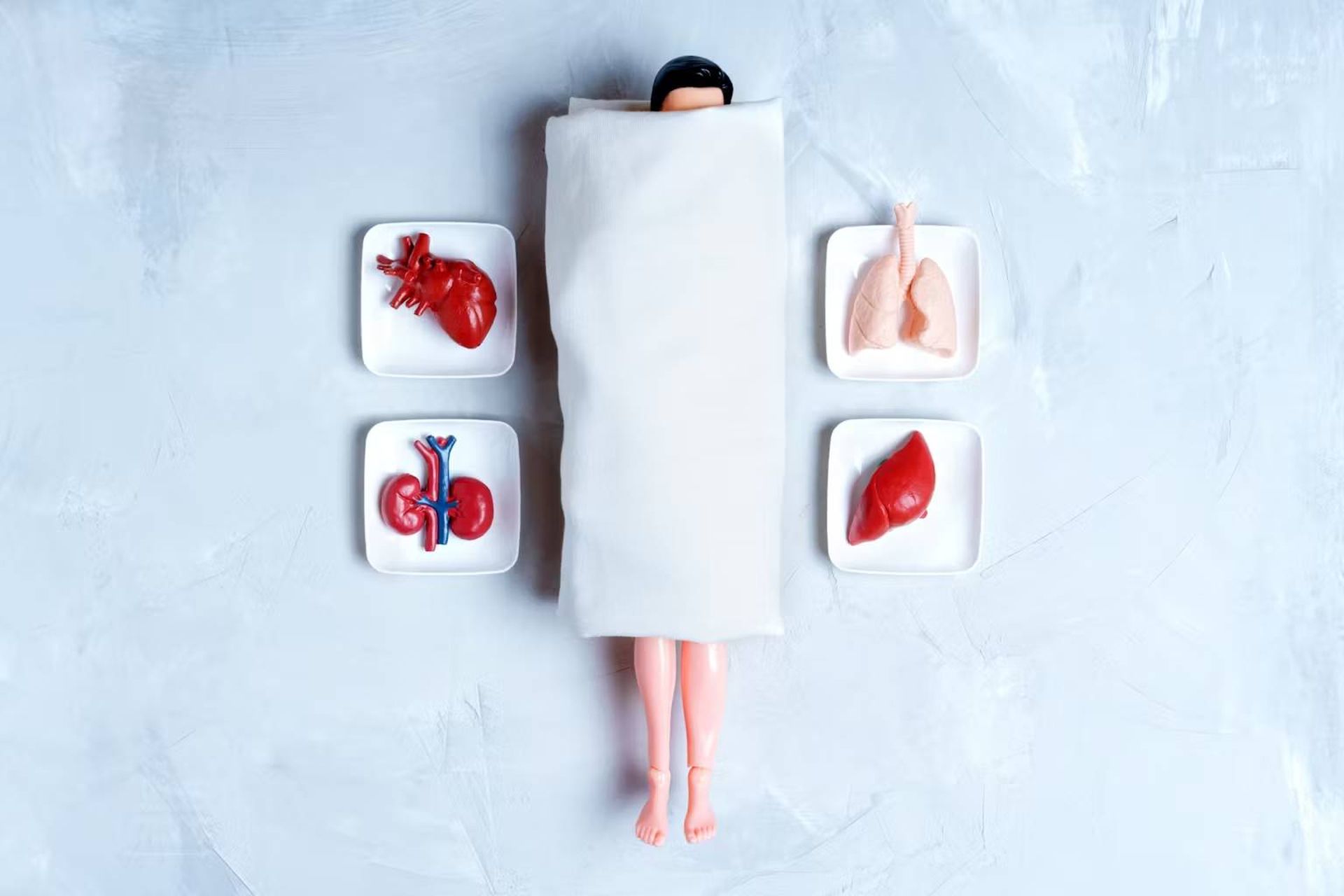 اعضای پیوندی