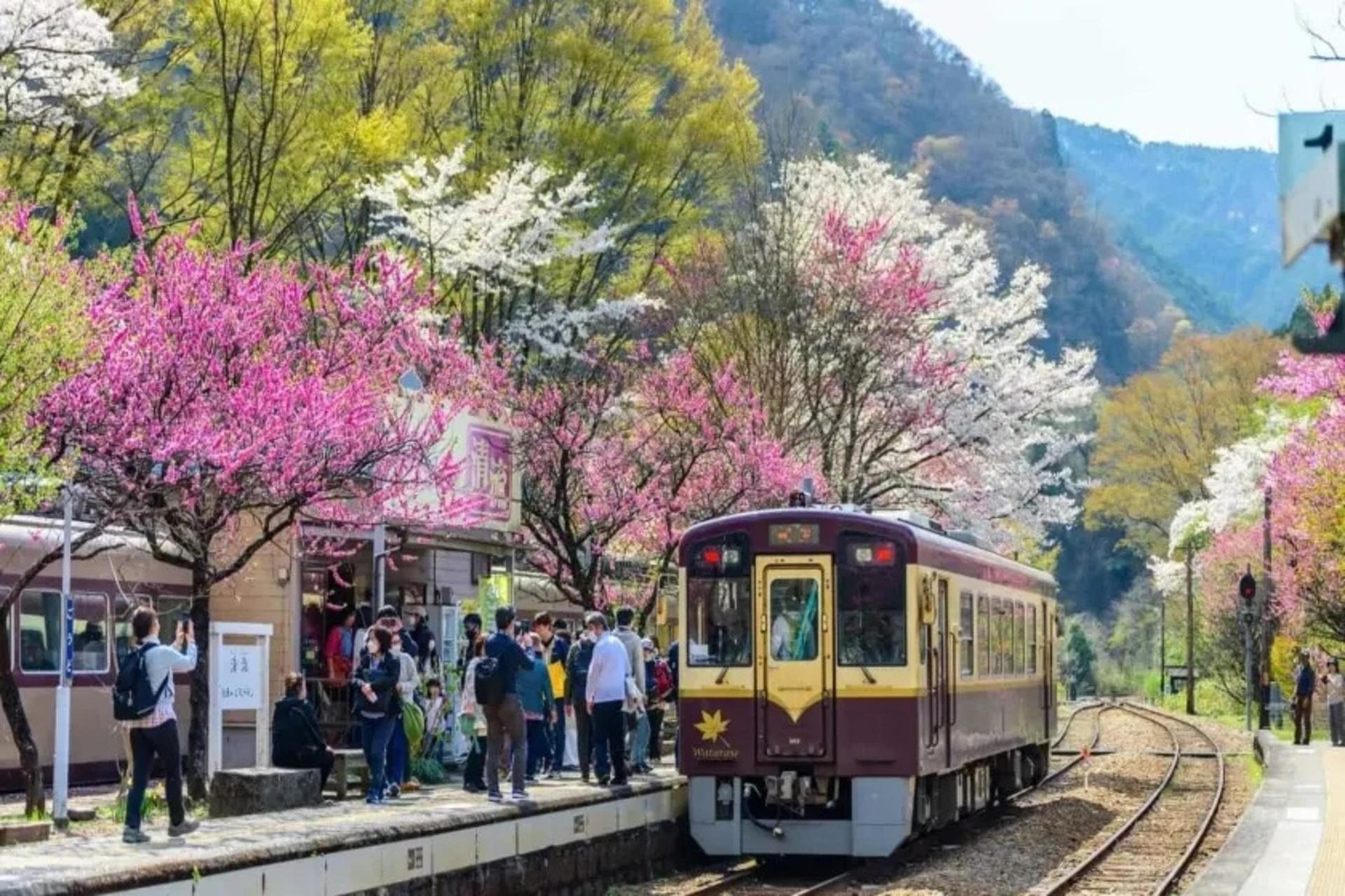 راهنمای سفر ارزان به ژاپن