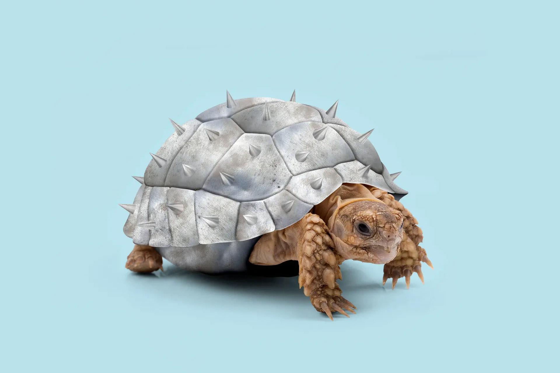 آیا برای نجات گونه‌های آسیب‌پذیر باید آن‌ها را تکامل دهیم؟