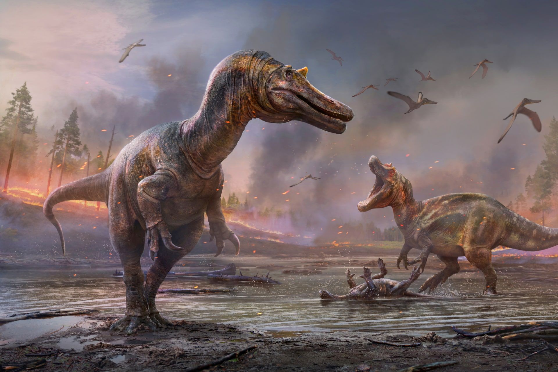 دو دایناسور گوشتخوار سراتسوچاپس اینفرودیوس و ریپارُوِناتور میلنری‌ها در پس‌ زمینه