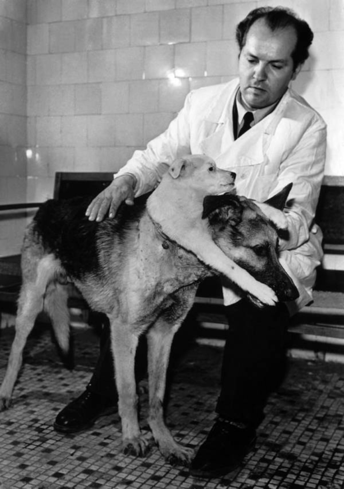 دکتر ولادیمیر دمیخوف با سگ دو سر