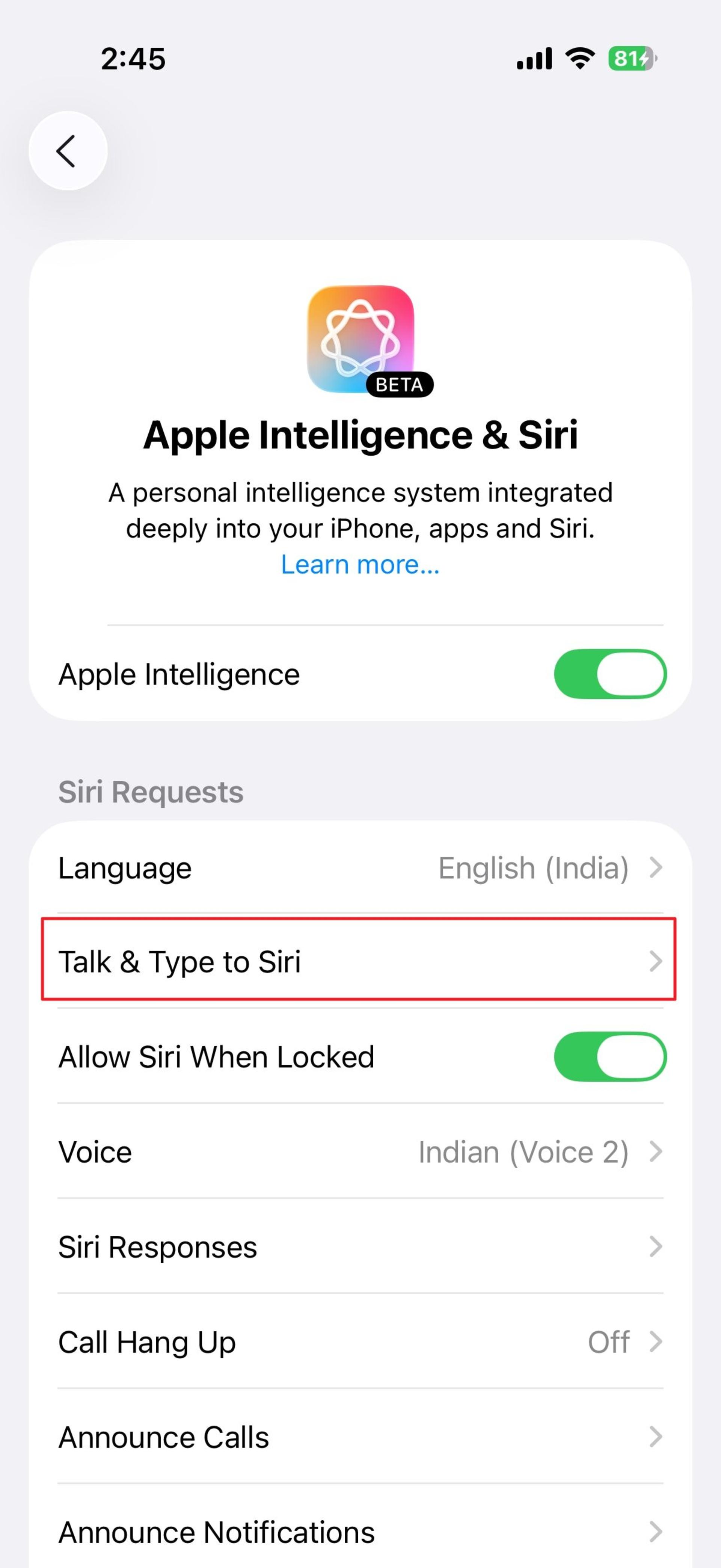 انتخاب گزینه‌ی Talk & Type to Siri در تنظیمات سیری آیفون