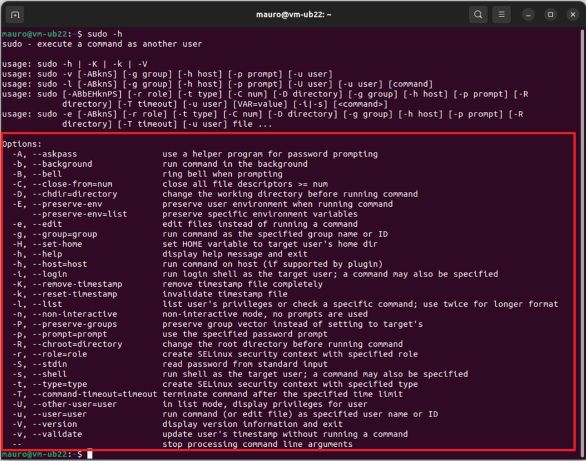 صفحه‌ی ترمینال نشان‌دهنده‌ی آپشن‌های موجود برای دستور sudo در اوبونتو