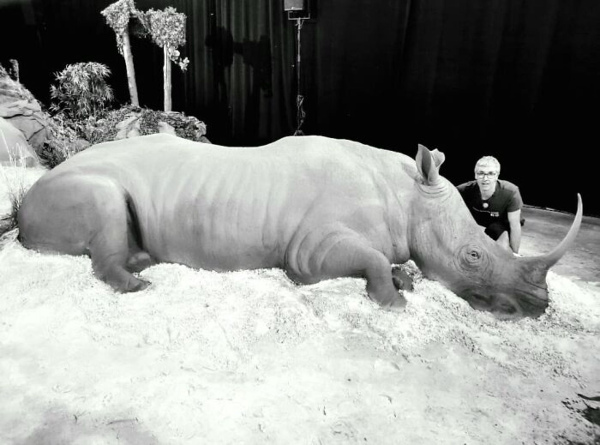 مجسمه شنی کرگدن و هنرمند