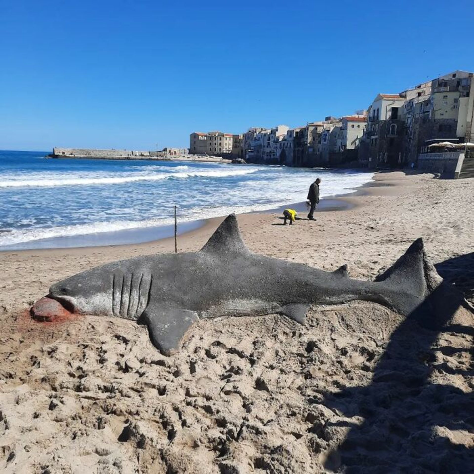 مجسمه شنی کوسه مرده در ساحل