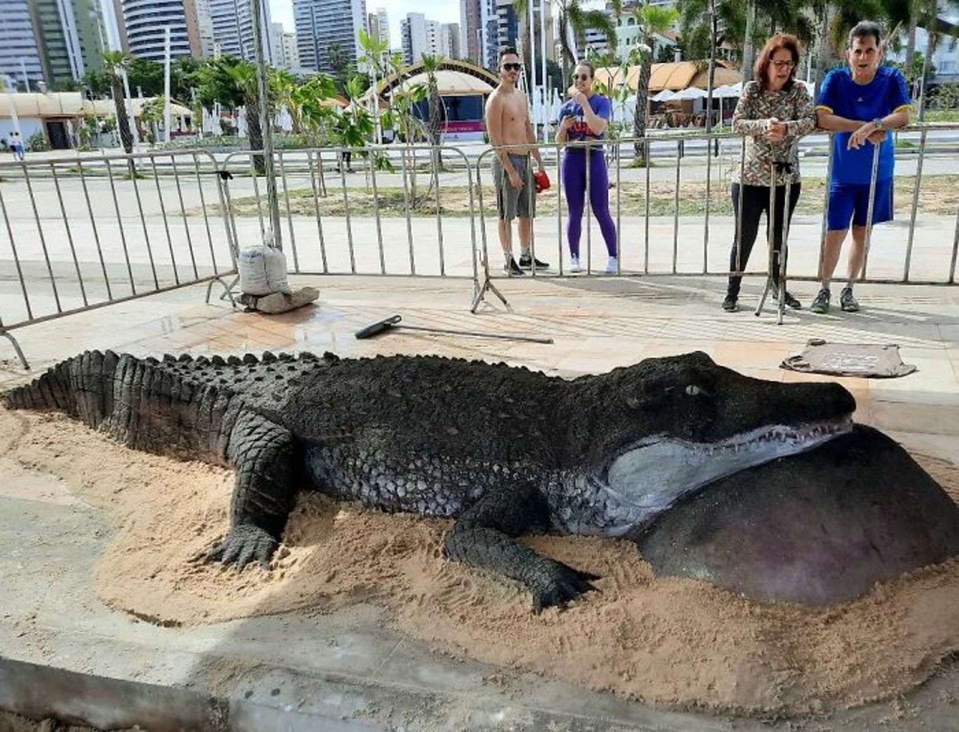 مجسمه‌ شنی تمساح از کنار