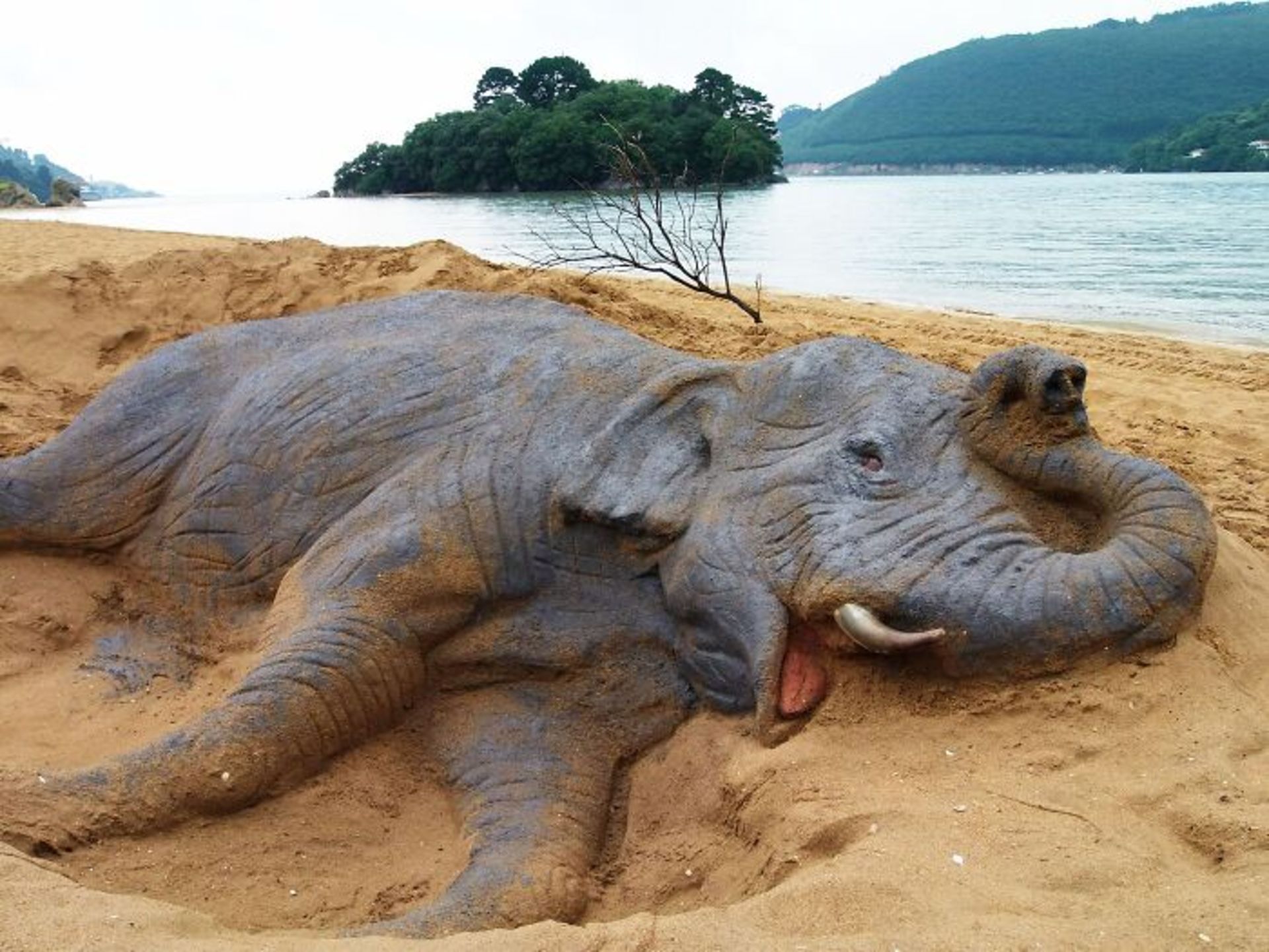 مجسمه‌ شنی فیل مرده در ساحل