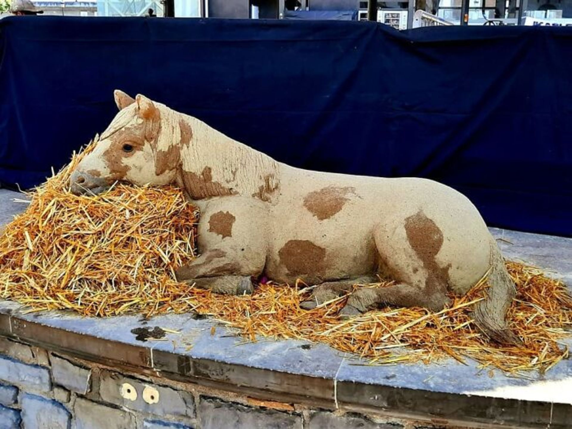 مجسمه کره اسب خالدار در طویله