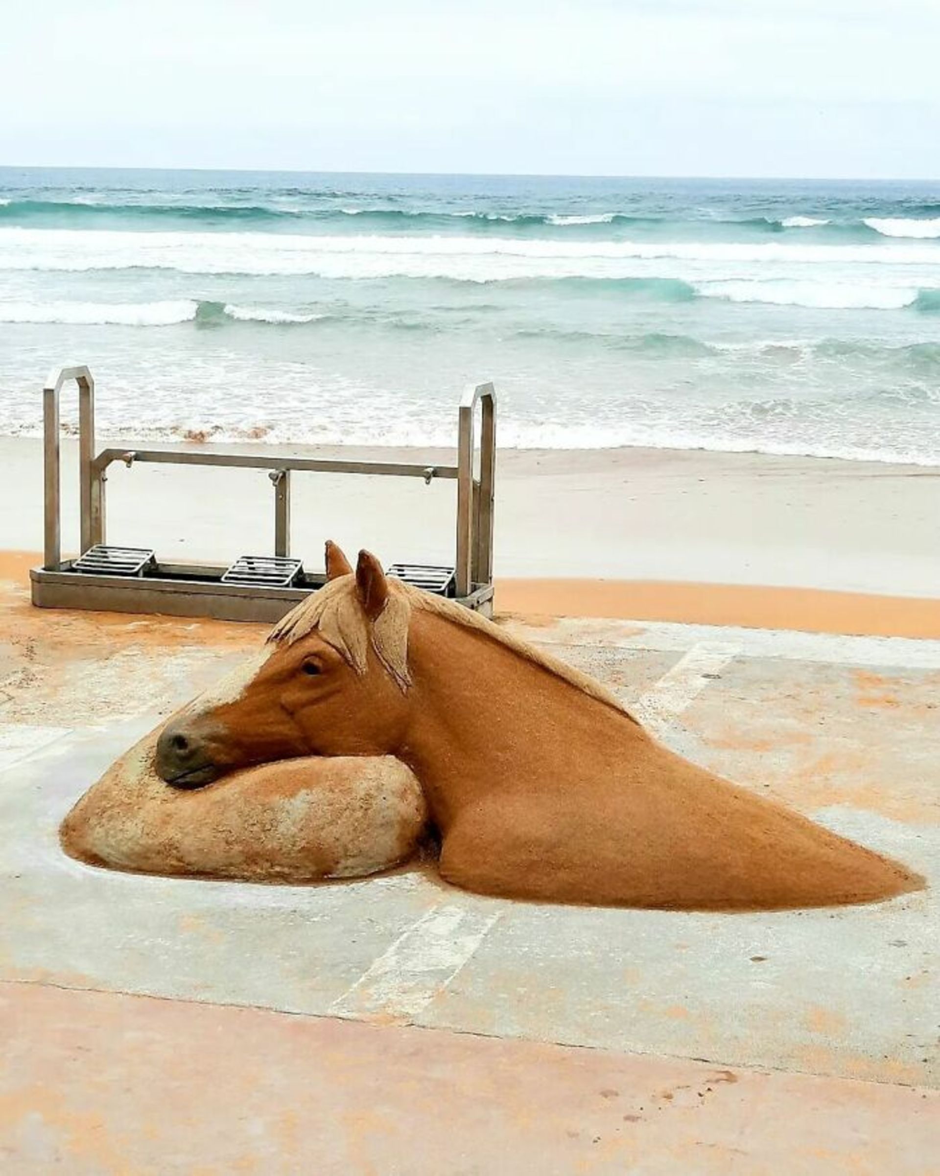 مجسمه‌ سر اسب قهوه‌ای کنار ساحل