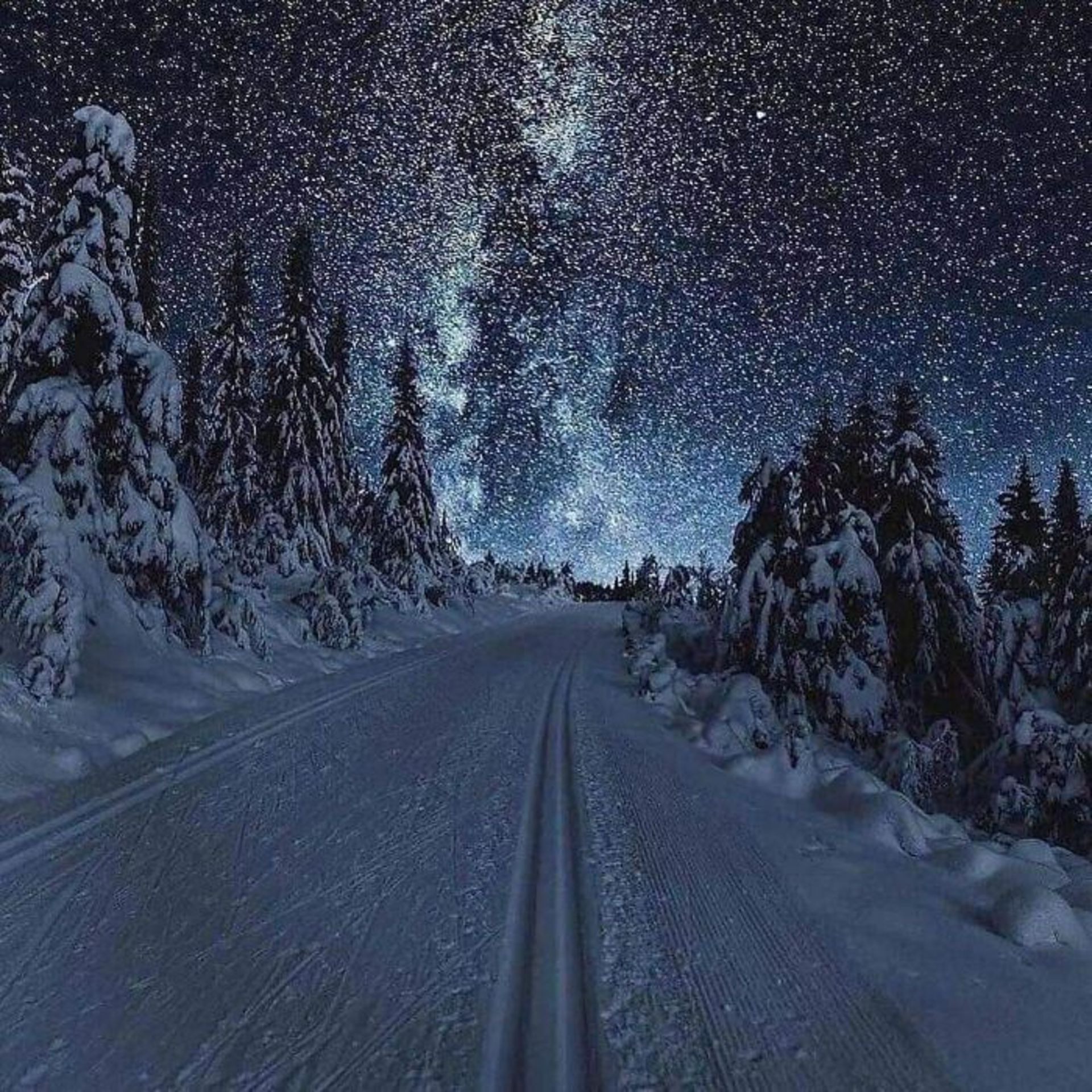 طبیعت نروژ شب برفی