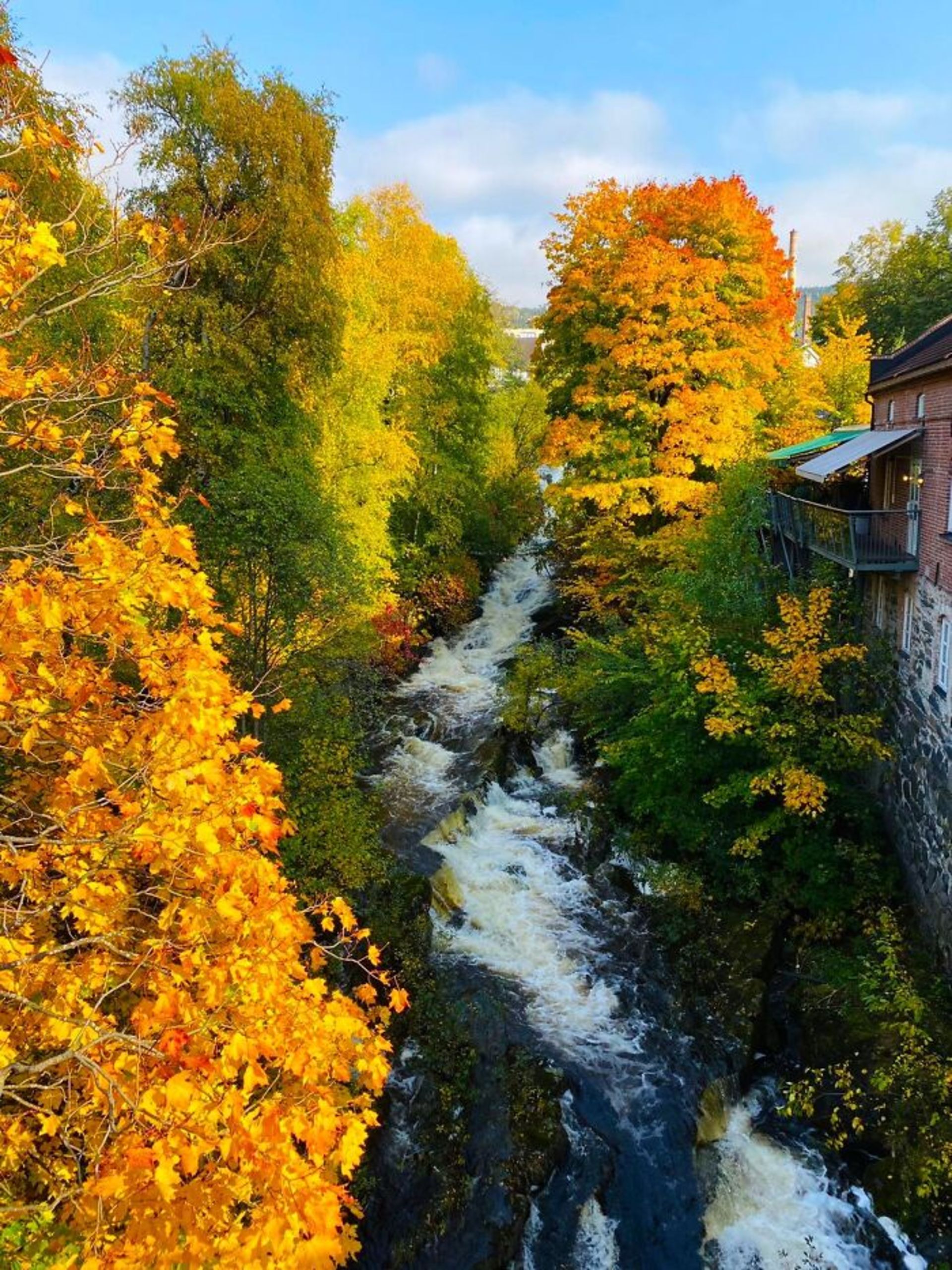 طبیعت پاییزی نروژ درختان زرد رودخانه و پل