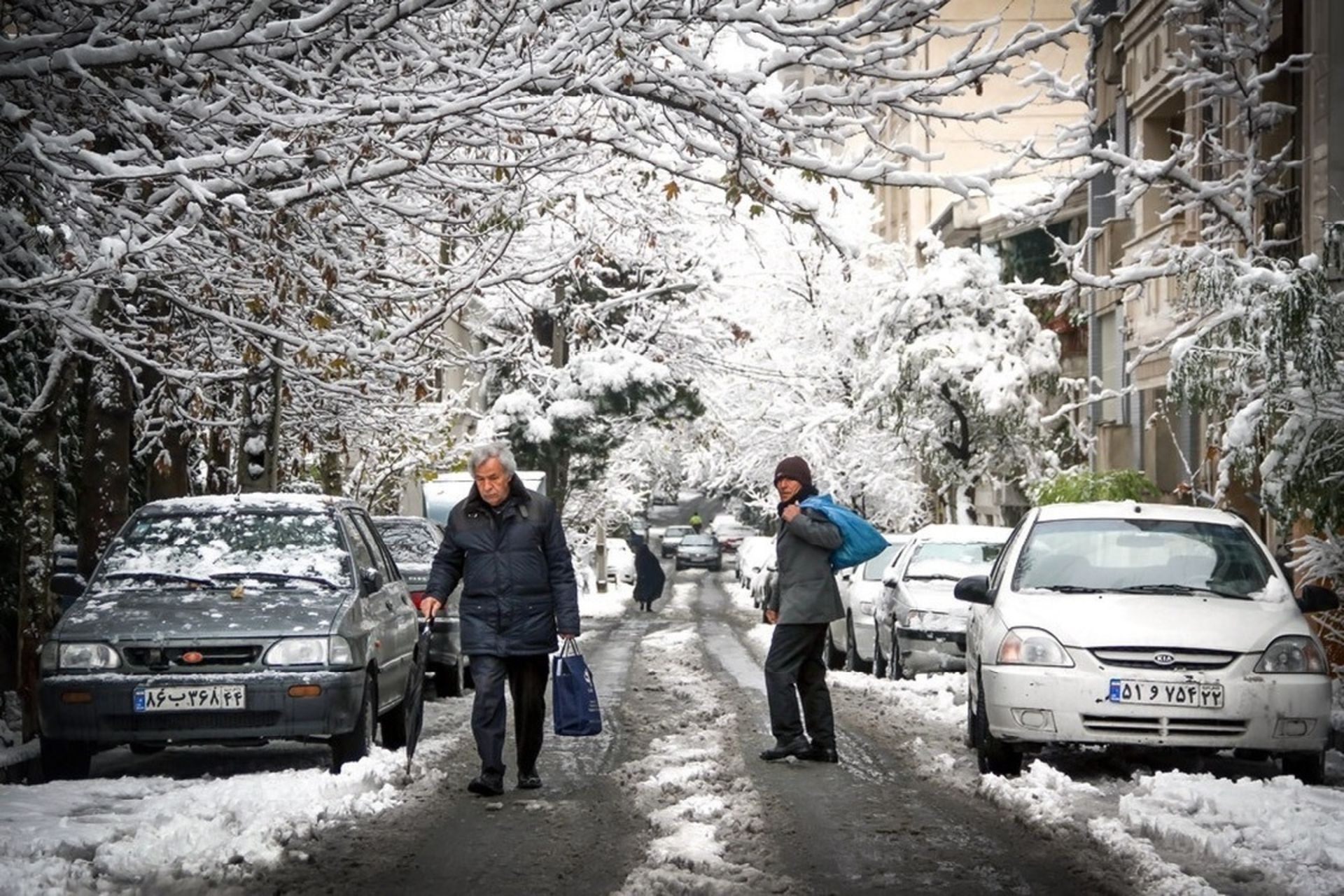 سرمای زمستان ۱۴۰۱