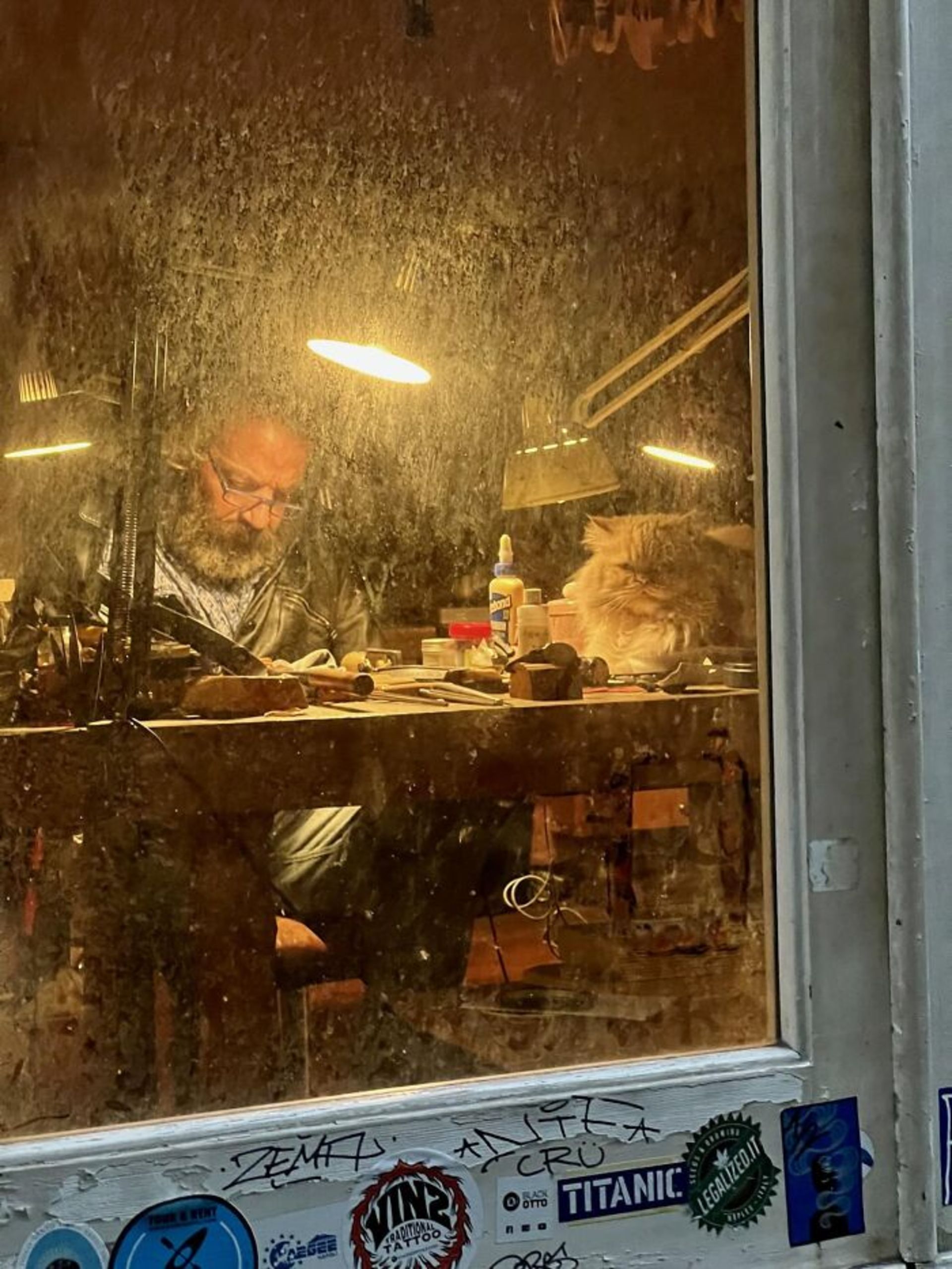 پیرمرد و گربه‌اش در کارگاه بارانی