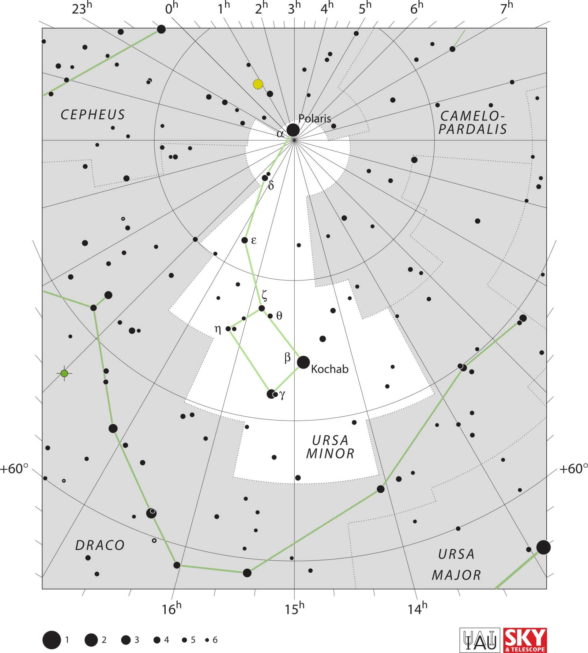 صورت فلکی دب اصغر