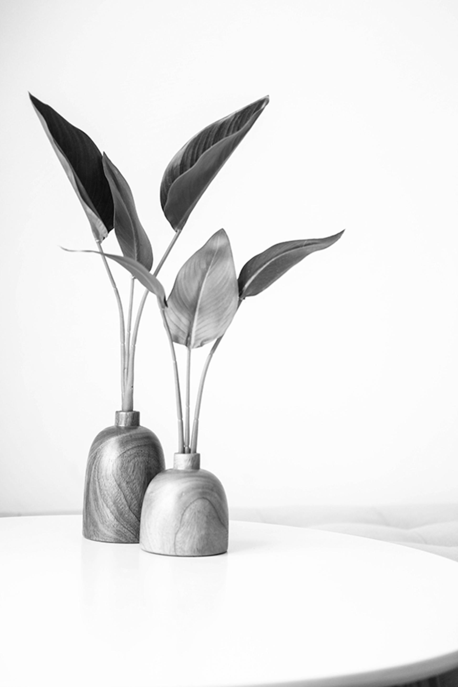 تبدیل خودکار عکس رنگی به grayscale  در فتوشاپ
