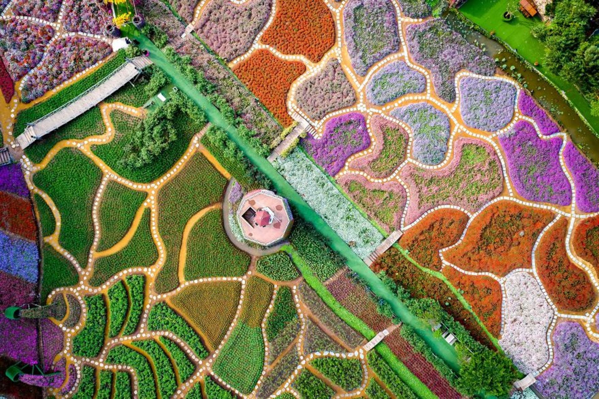 کوچه گل ها در ویتنام نمای بالا