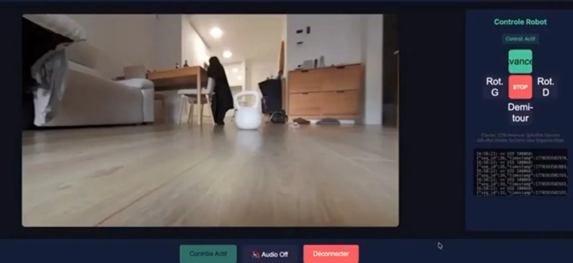 نمای یک خانه از دوربین جاروبرقی رباتیک دی‌جی‌آی