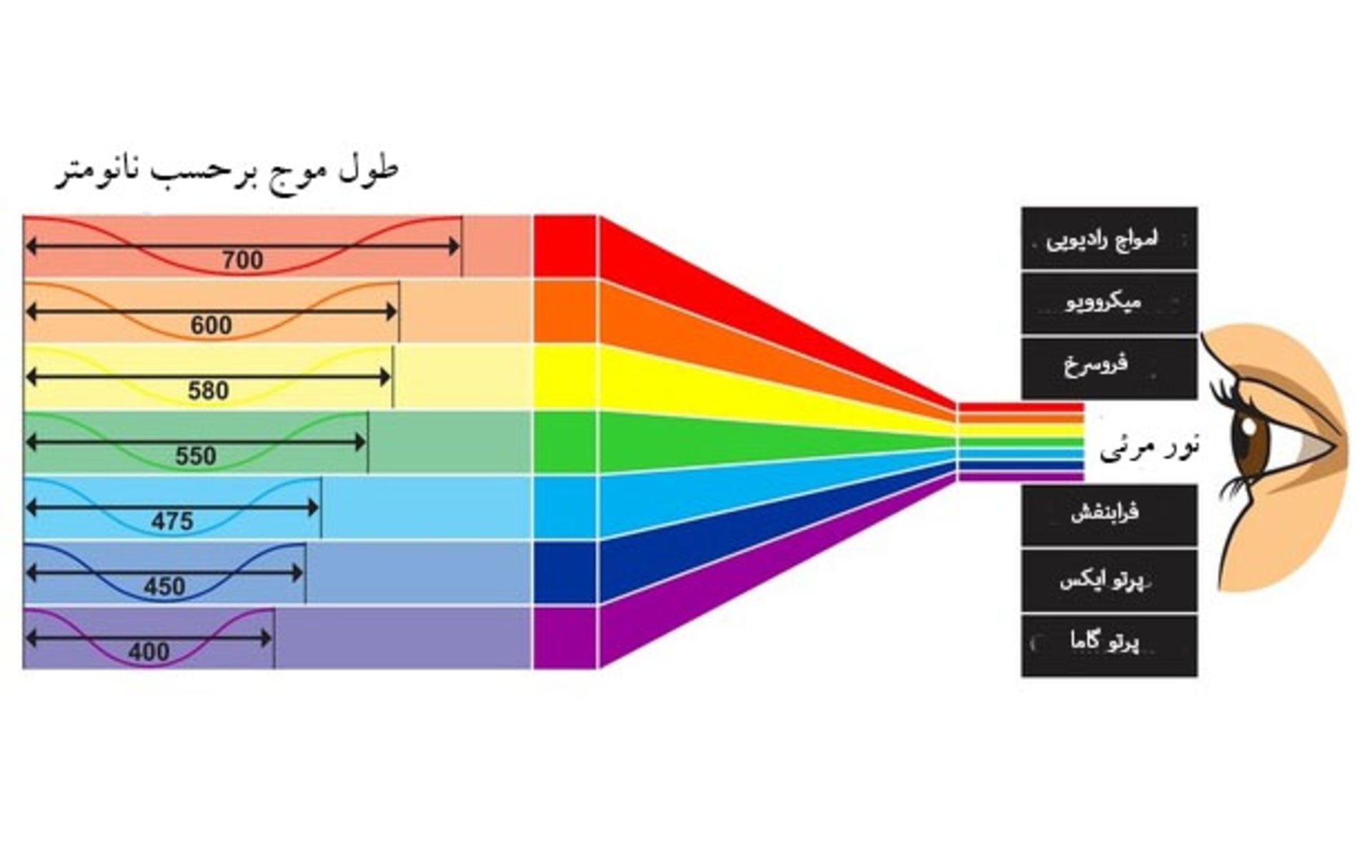 طیف امواج الکترومعناطیسی - بخش نور مرئی