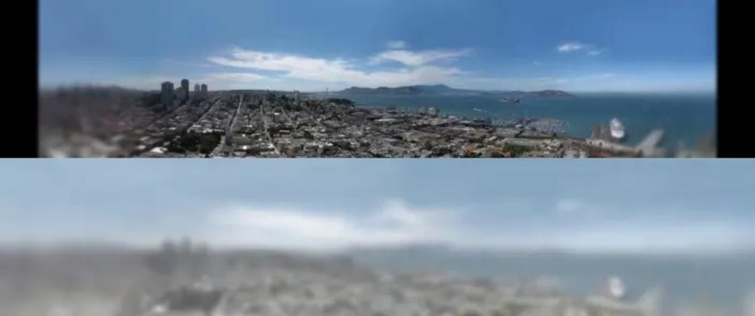 مقایسه حدت رنگ در گربه و انسان