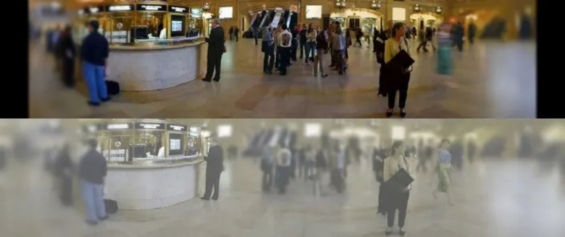 مقایسه میدان دید گربه با انسان