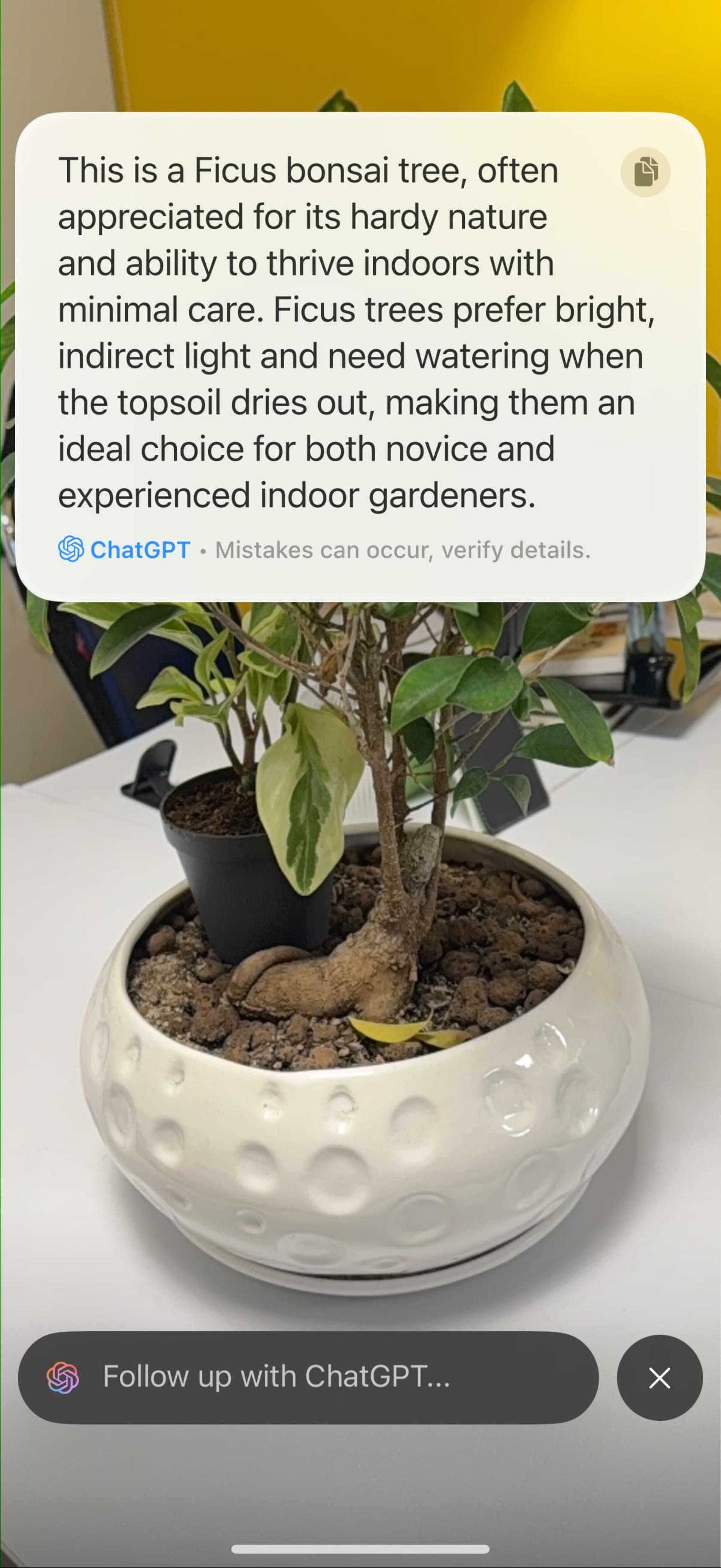 آنالیز تصویر با ChatGPT در قابلیت Visual Intelligence