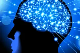 مغز انسان می‌تواند در چشم‌برهم‌زدن حافظه کاذب ایجاد کند