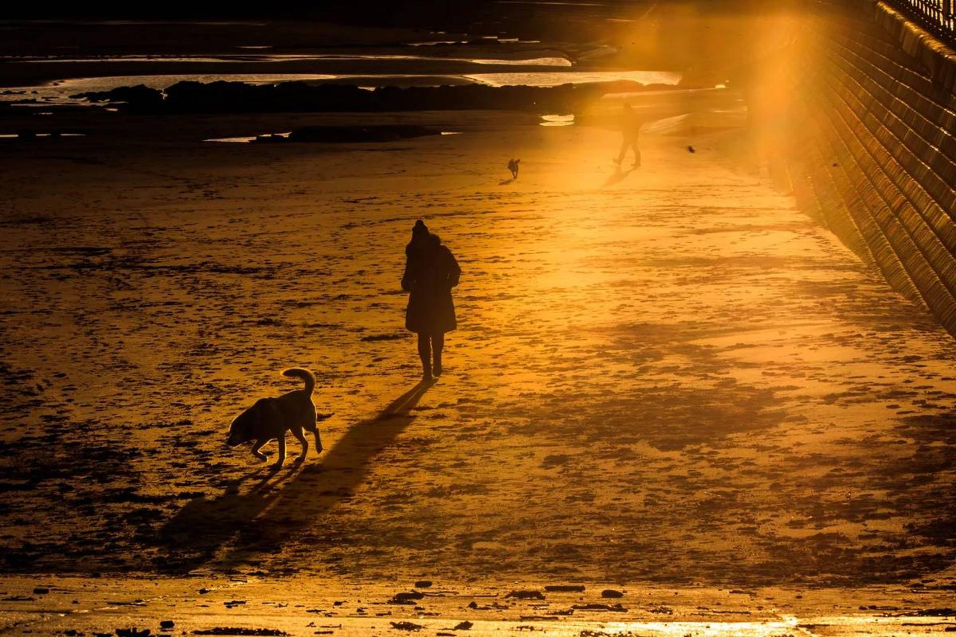 زمستان در راه است؛ چگونه با افسردگی فصلی مقابله کنیم؟