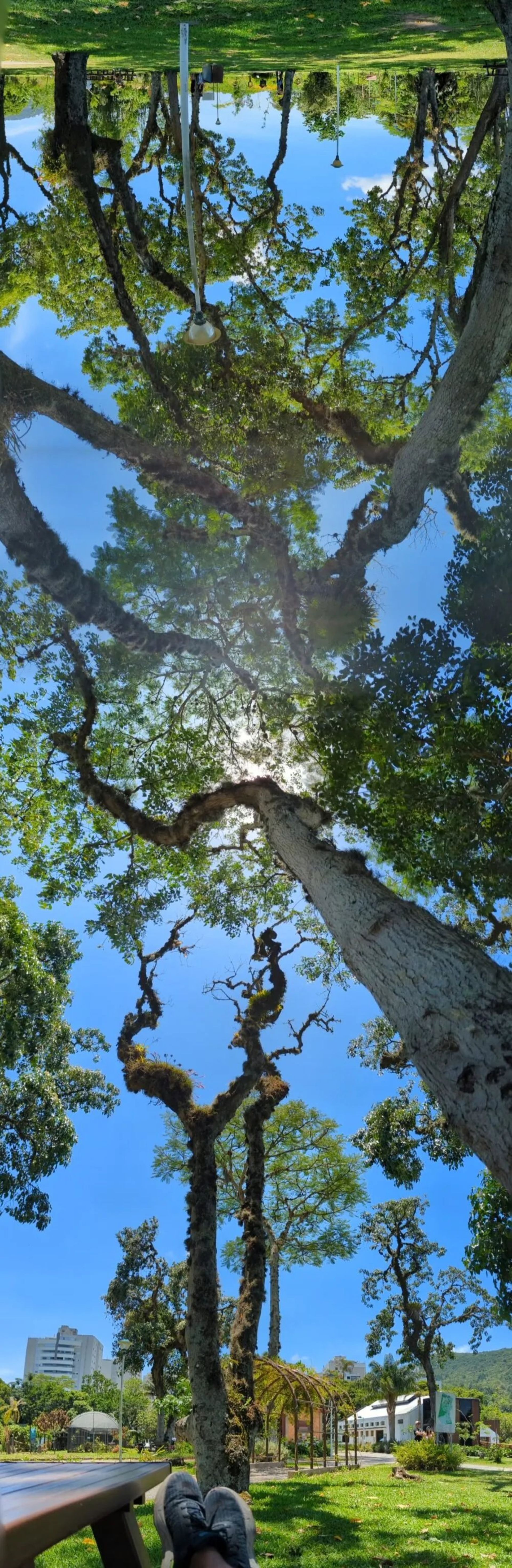 والپیپر عمودی طبیعت