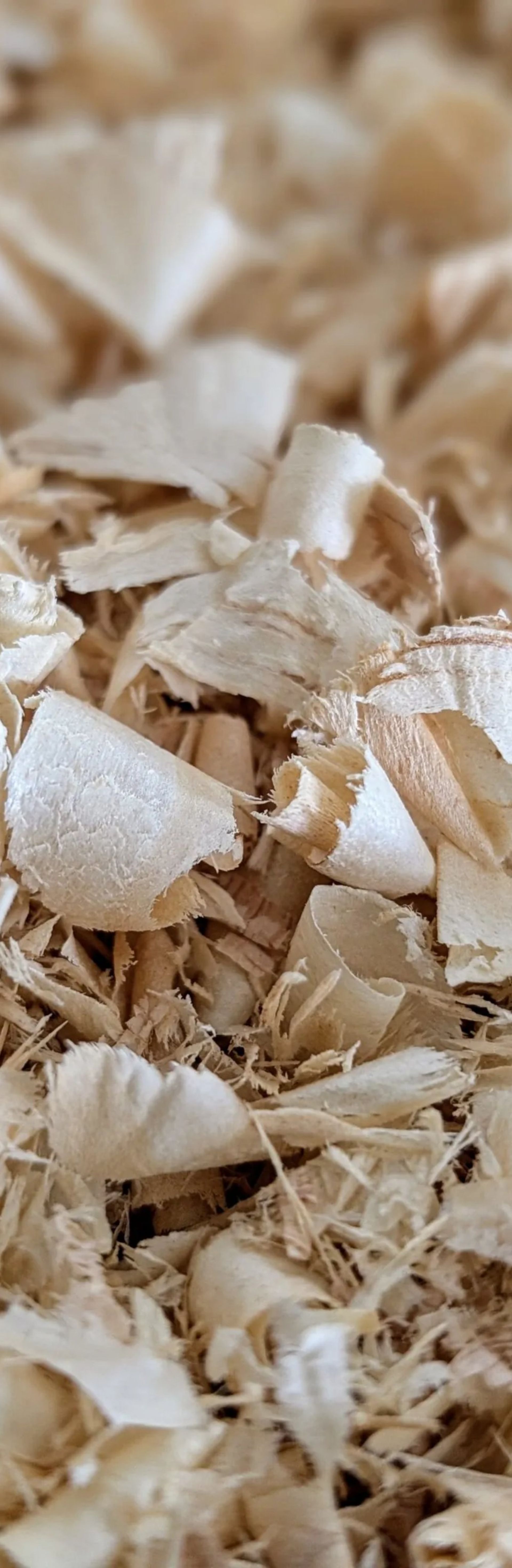 والپیپر عمودی طبیعت