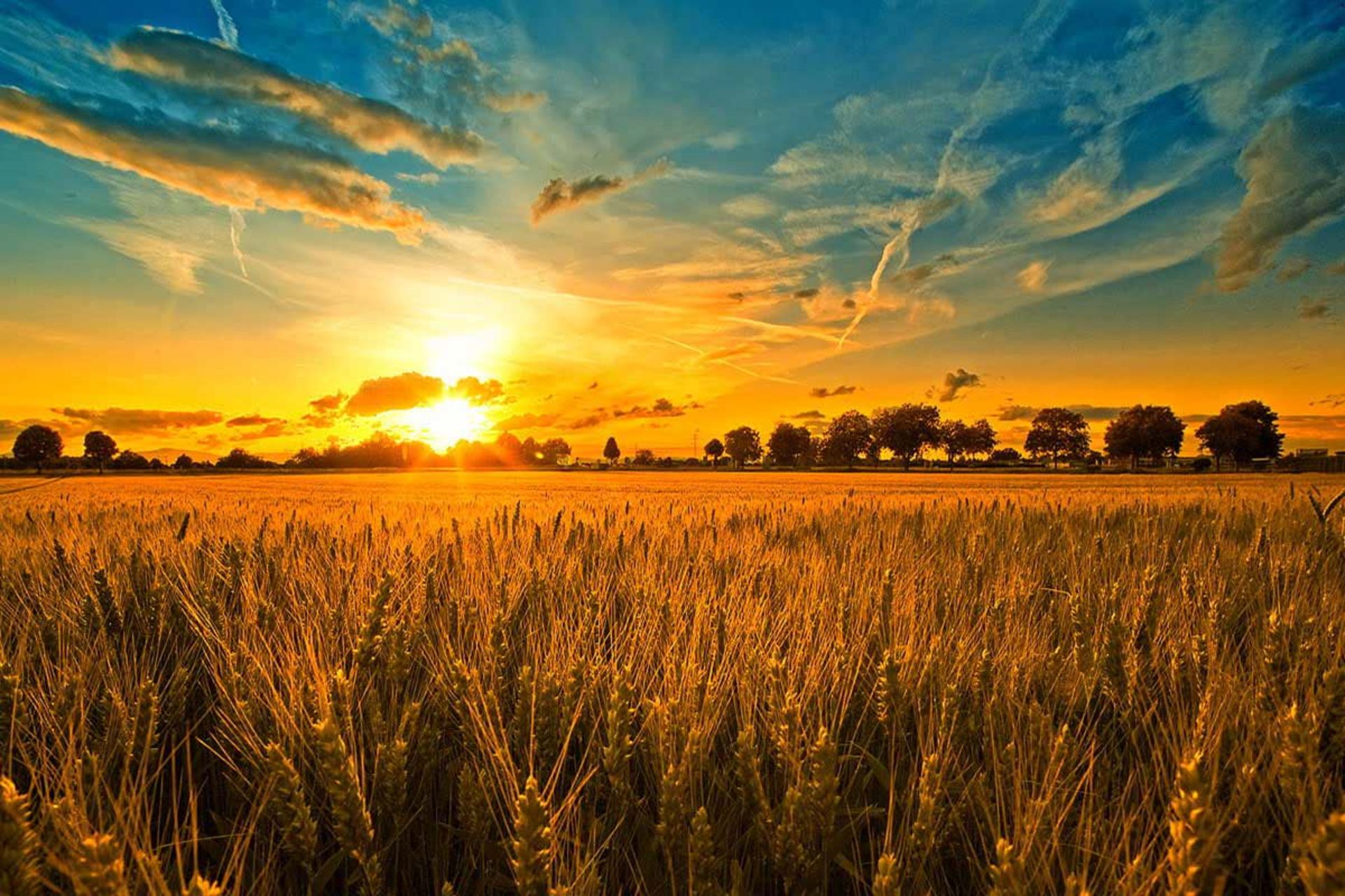 گذار به کشاورزی 