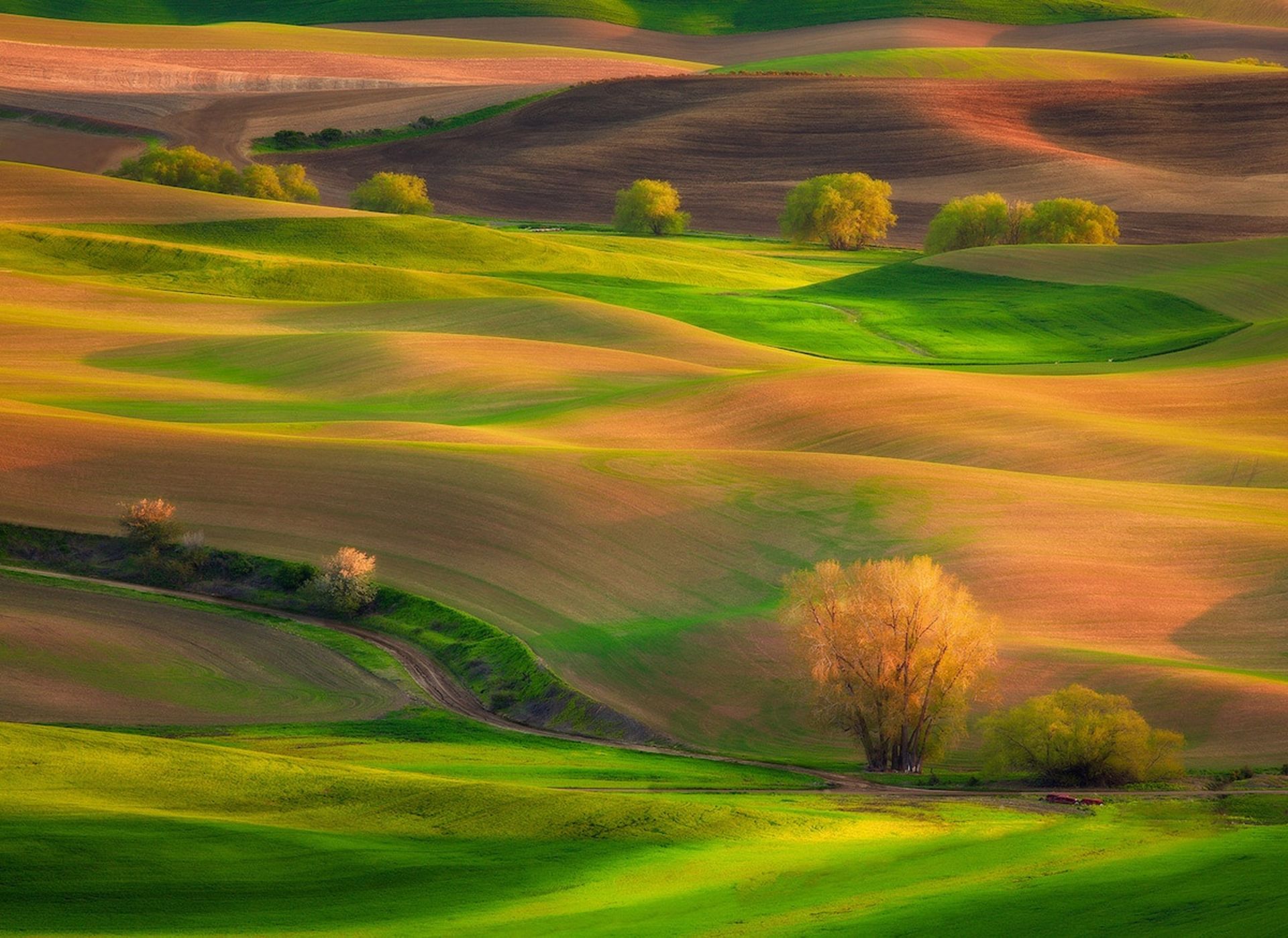 تپه های پالوس در پارک ایالتی Steptoe Butte