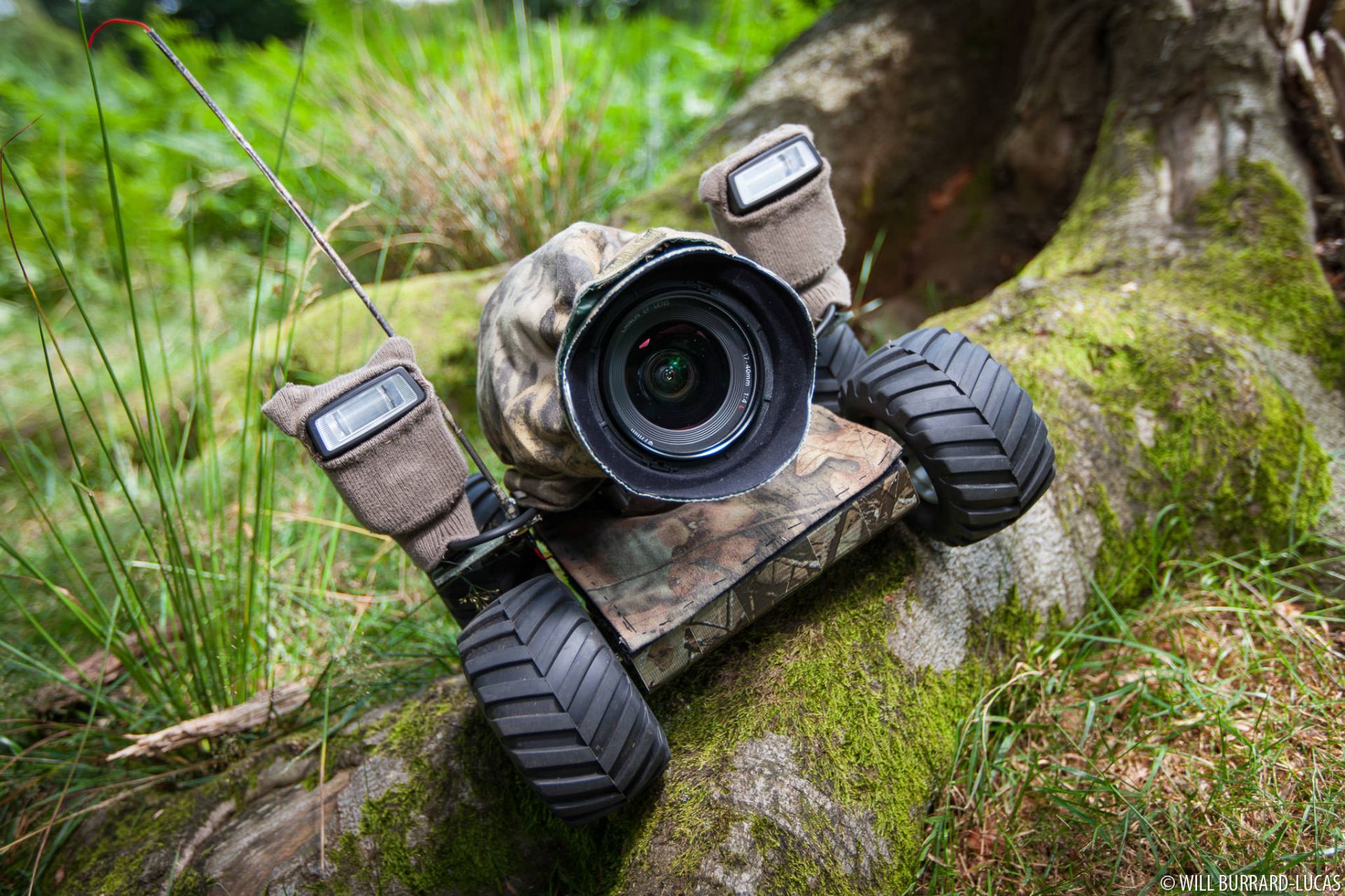 دوربین رباتیک بیتل عکاسی از حیوانات درنده