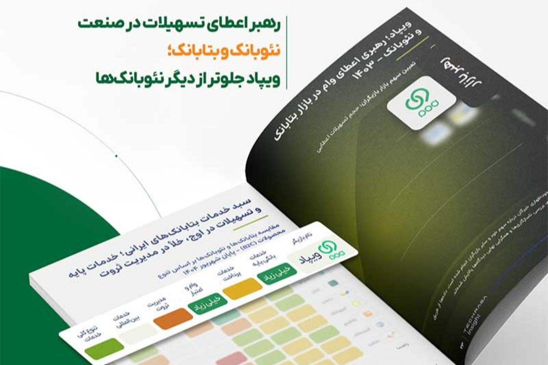 گزارش تکراسا از وام‌دهی ویپاد