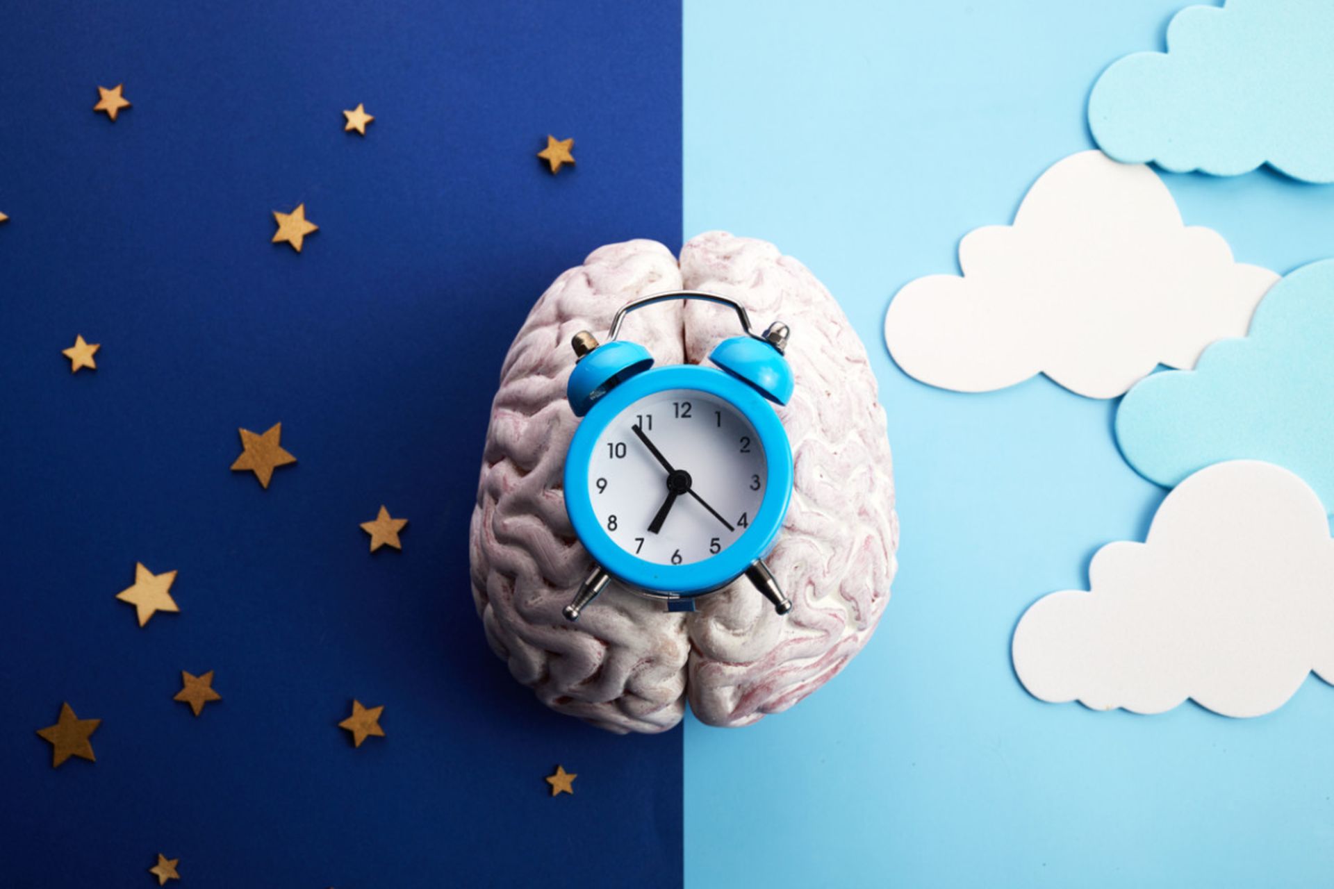 ساعت بیولوژیکی- یک ساعت کوکی روی یک شماتیک مغز و تصویرسازی شب و روز در دو سمت تصویر