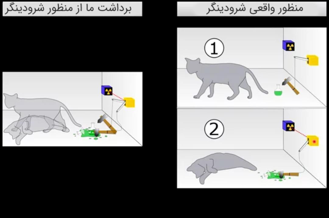 منظور واقعی شرودینگر و برداشت ما از آن